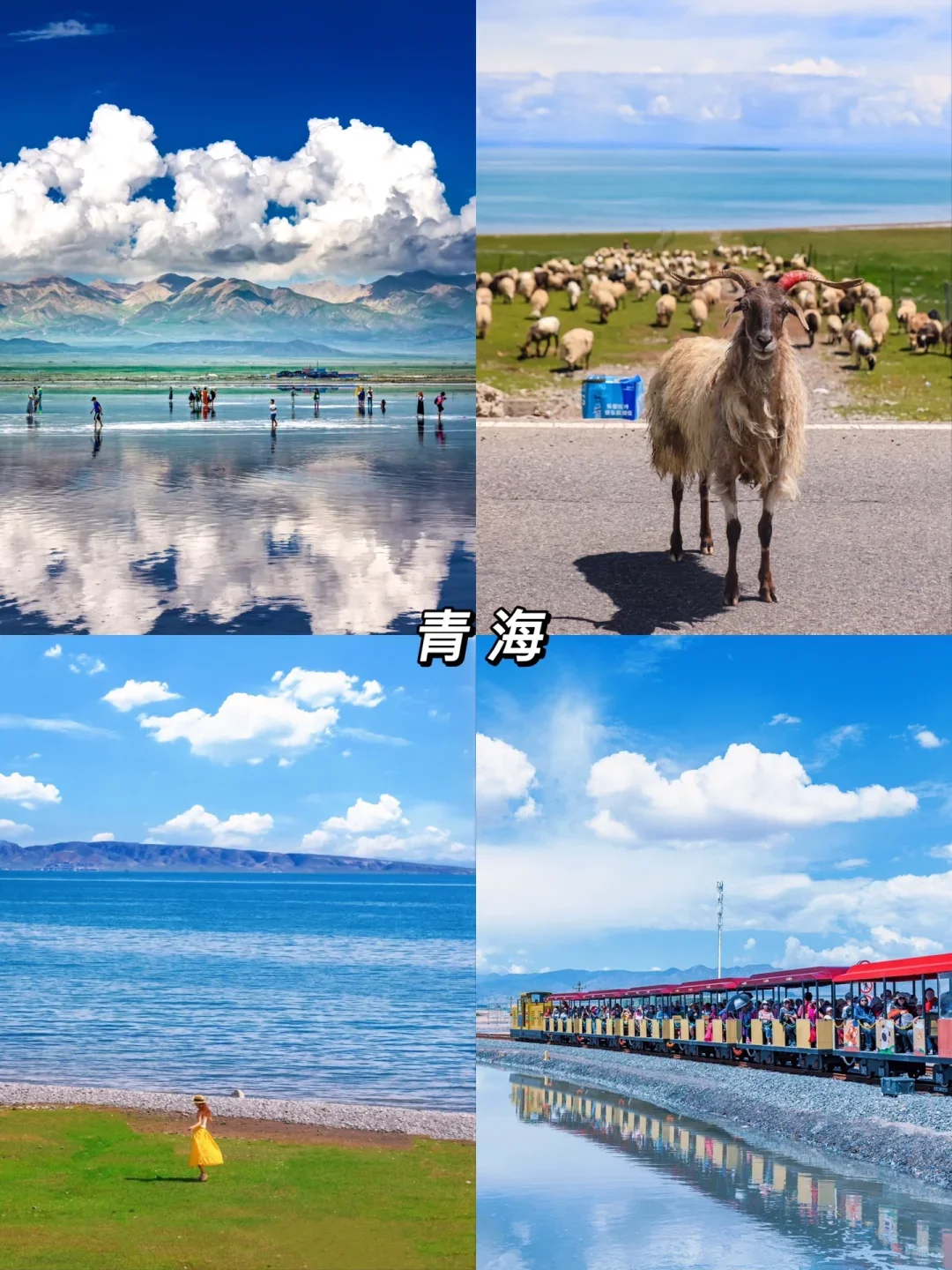 🏔别把青春困在遗憾里,要热烈自由