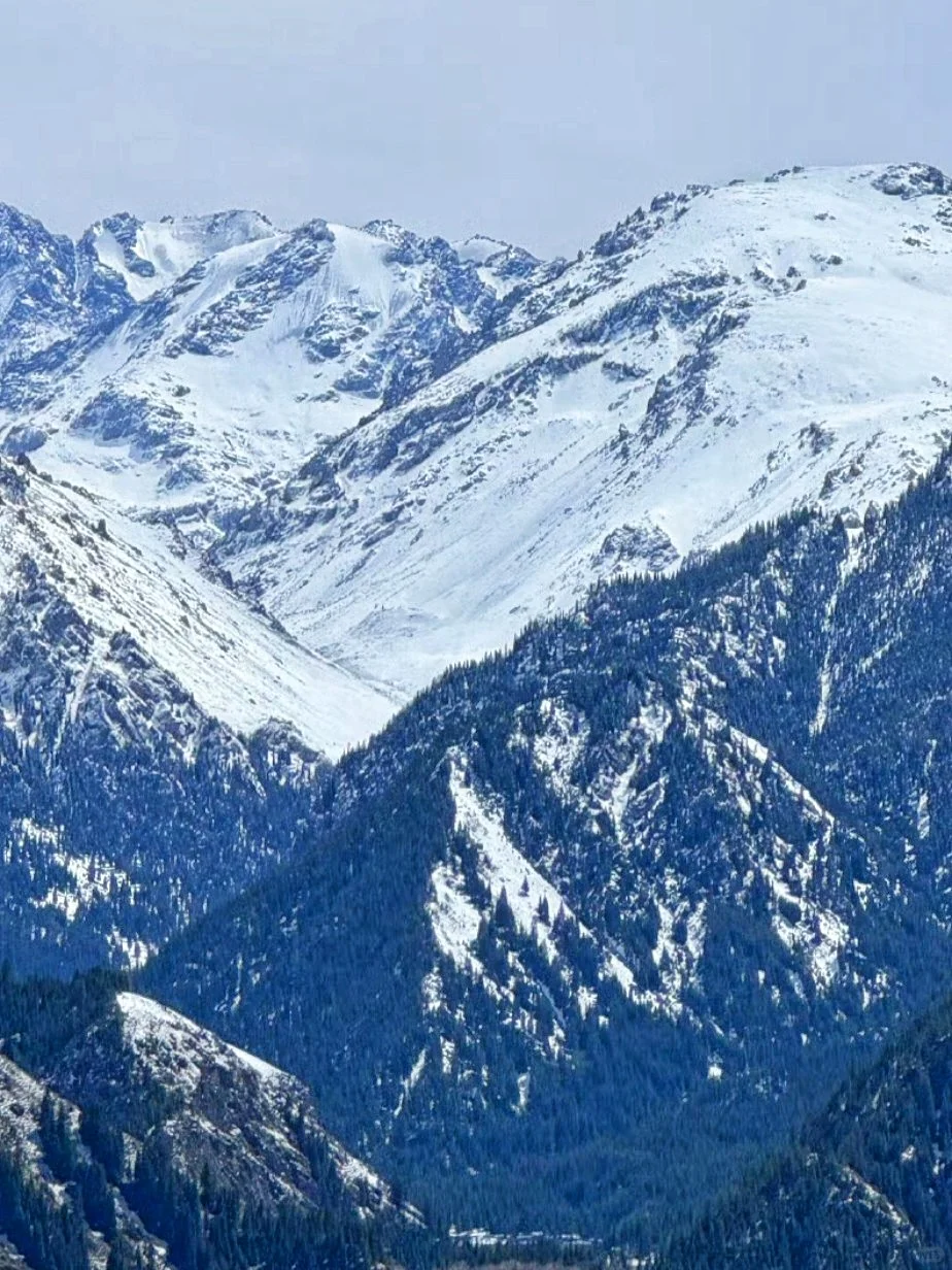 端午节好想去长白山避暑呀🏔️