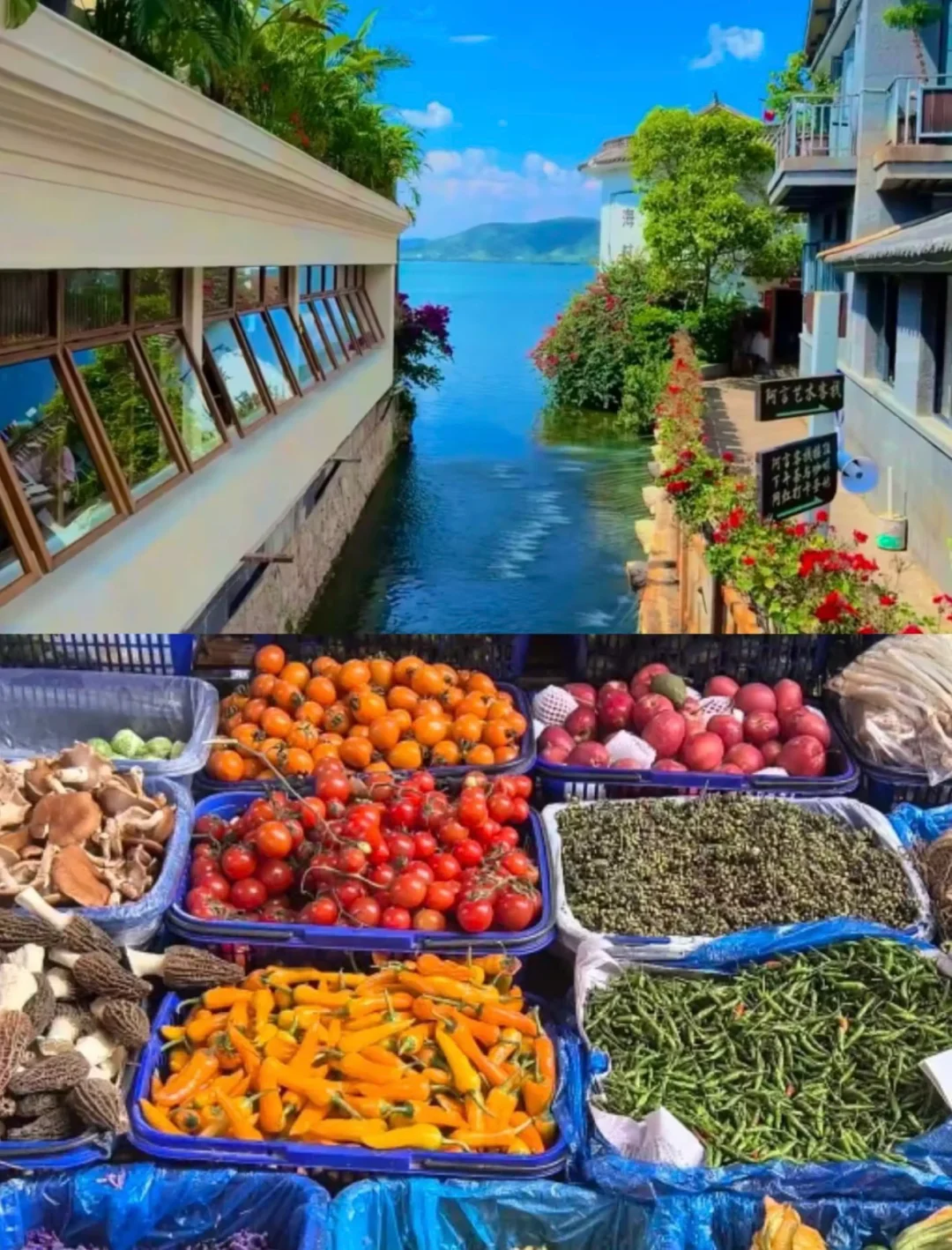 6-7月反向旅游5个避暑胜地推荐✅