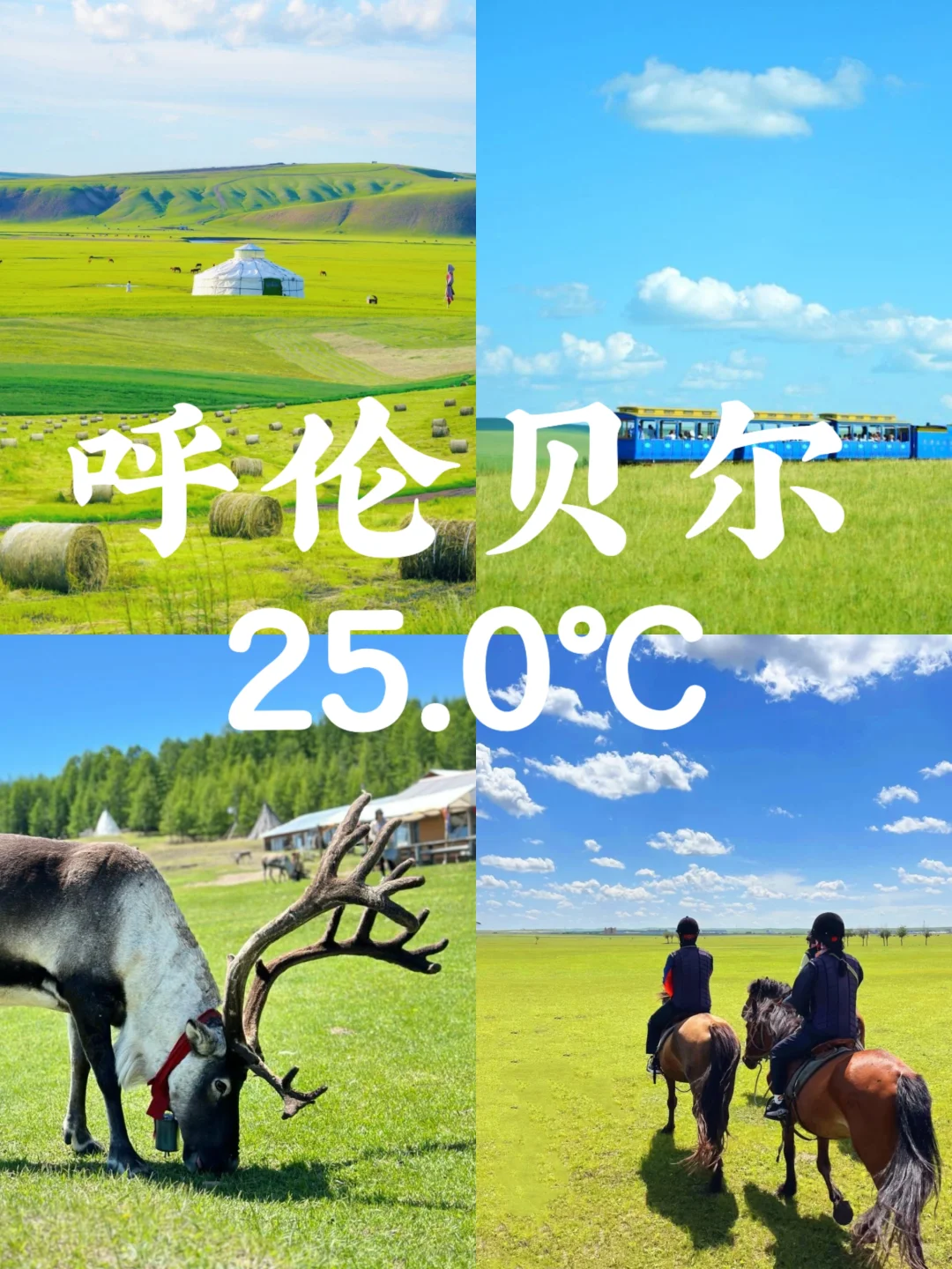 按气温排序！广东最快3h达的小众避暑地