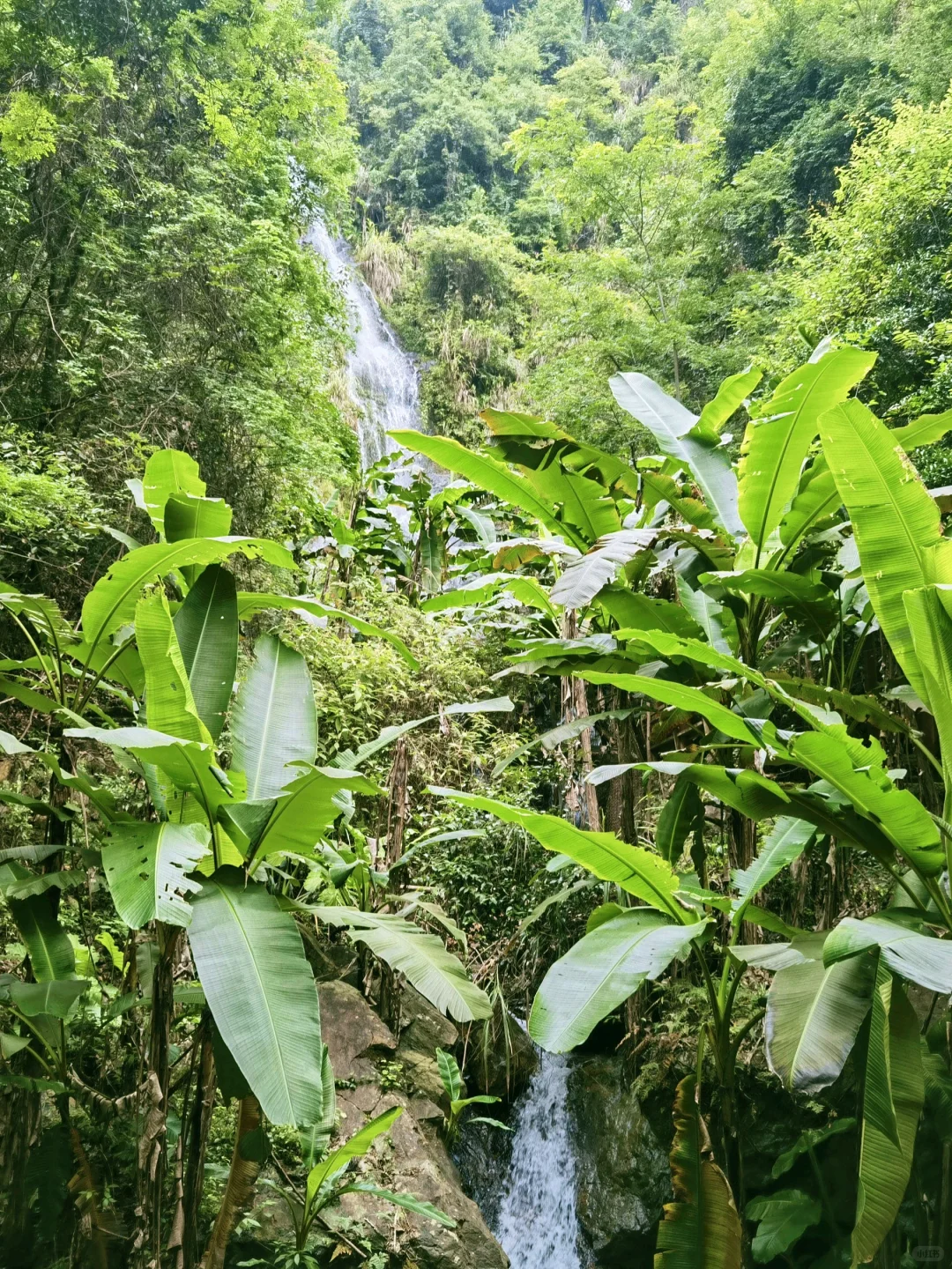 救命！在福建挖到天然玩水天堂！溪源大峡谷