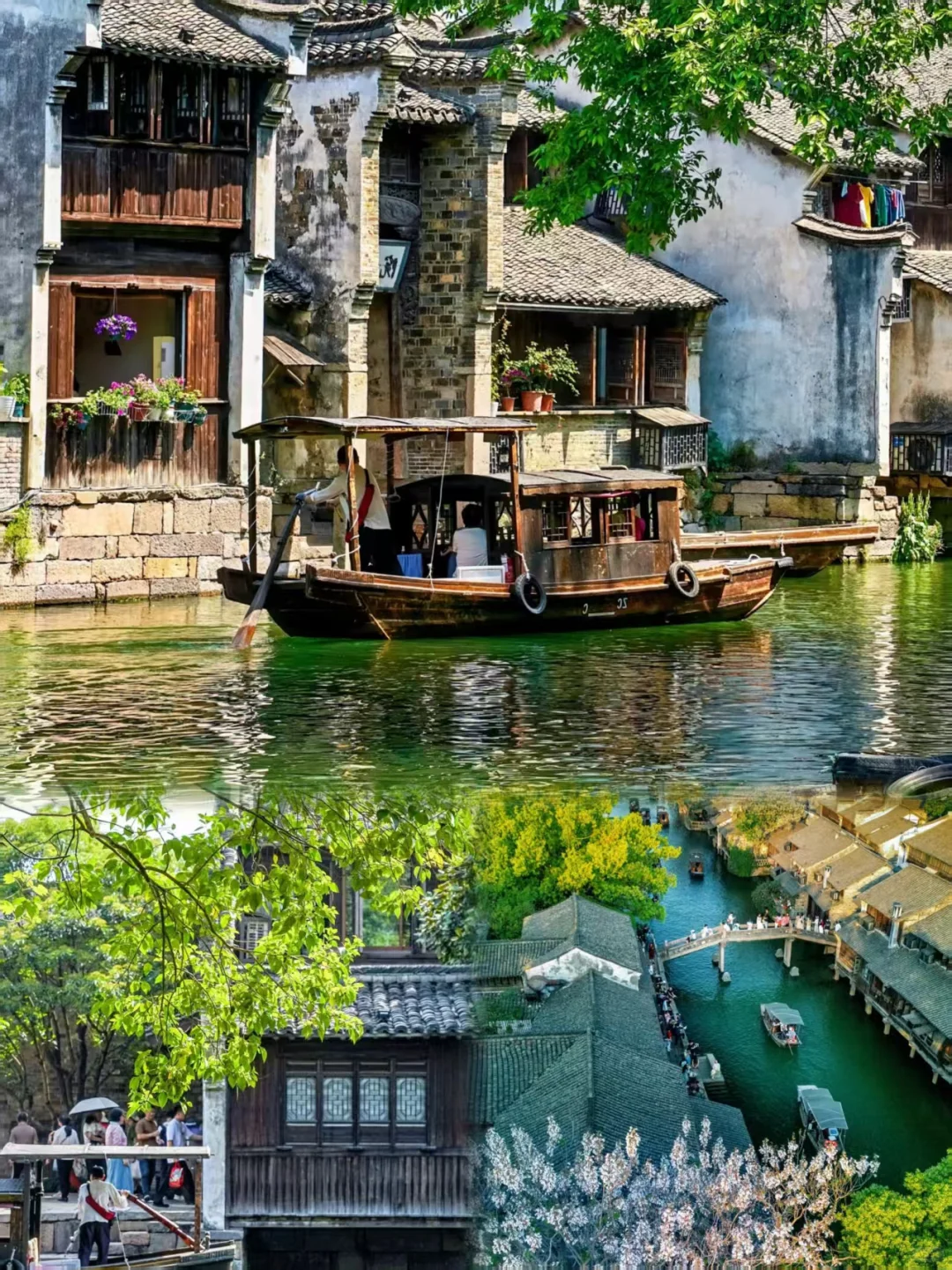 6-8月反向游嘉兴,躲进水墨江南过夏天🌿