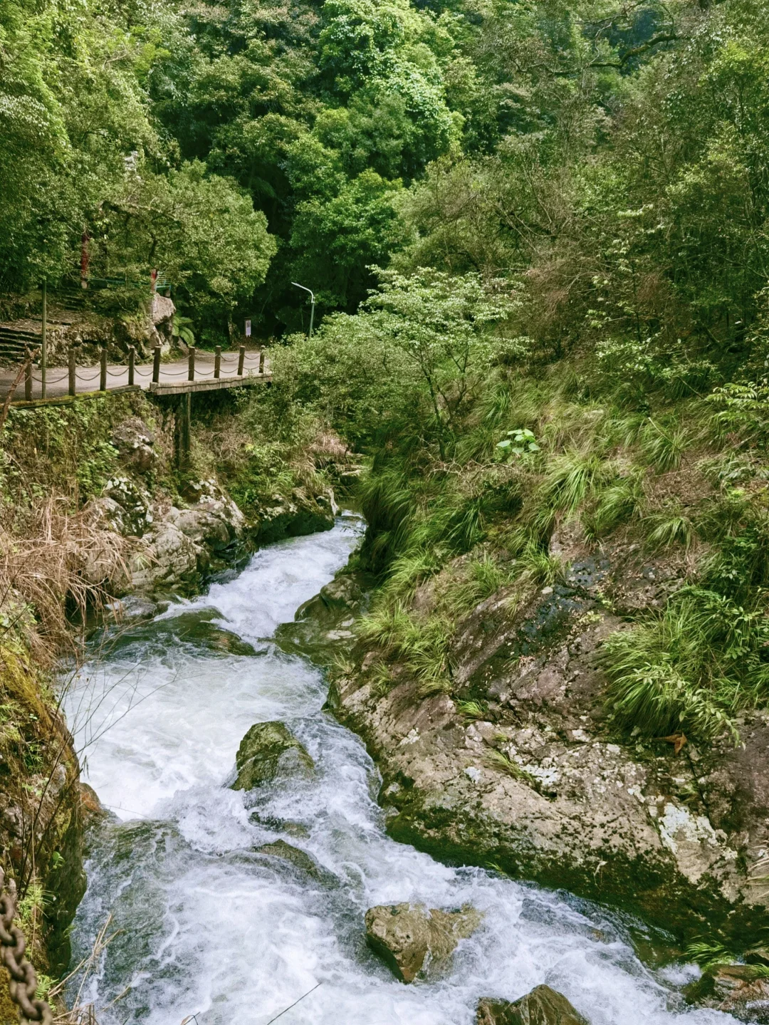 救命！在福建挖到天然玩水天堂！溪源大峡谷