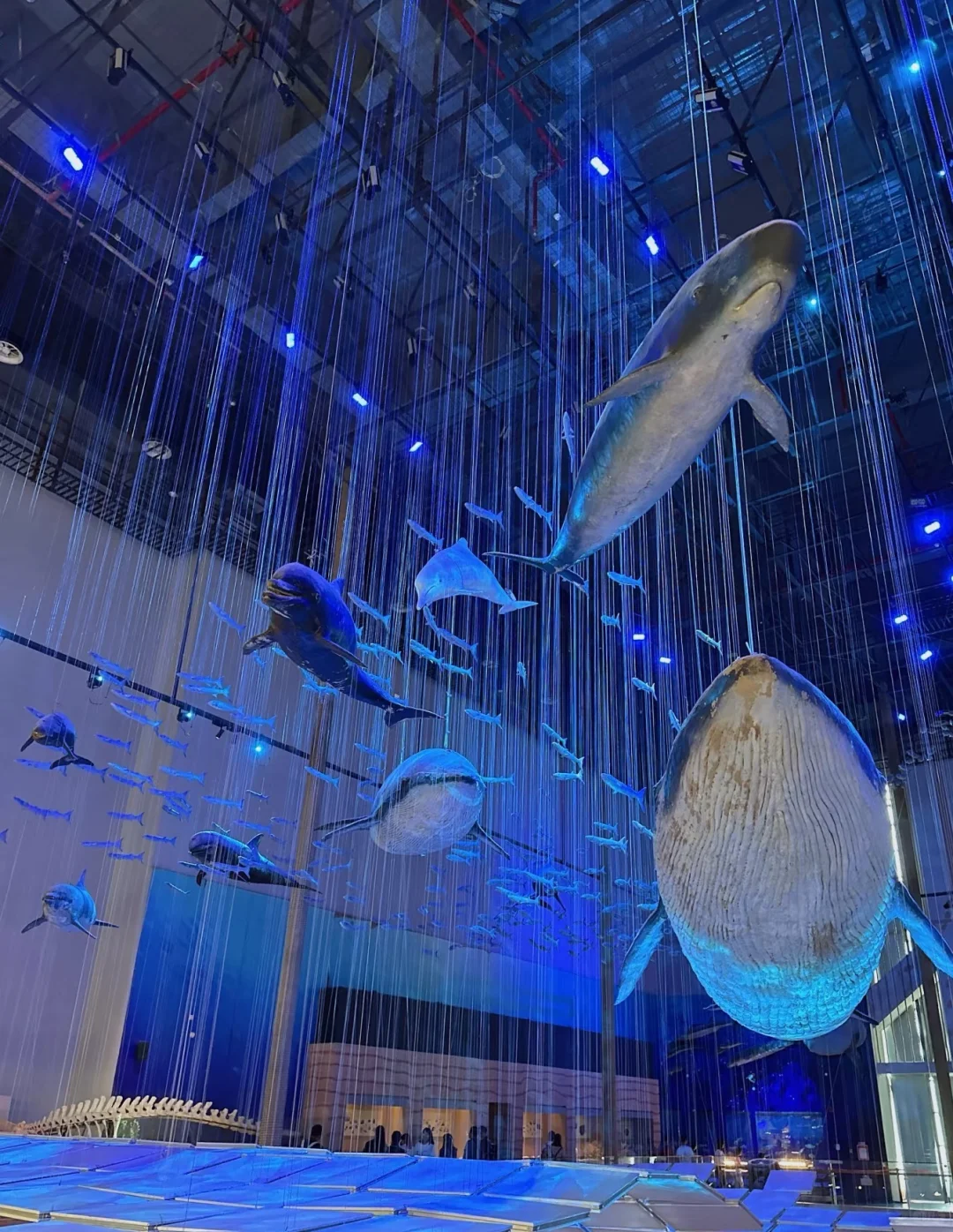 🌟广州最值得去的十个景点！一日攻略来袭