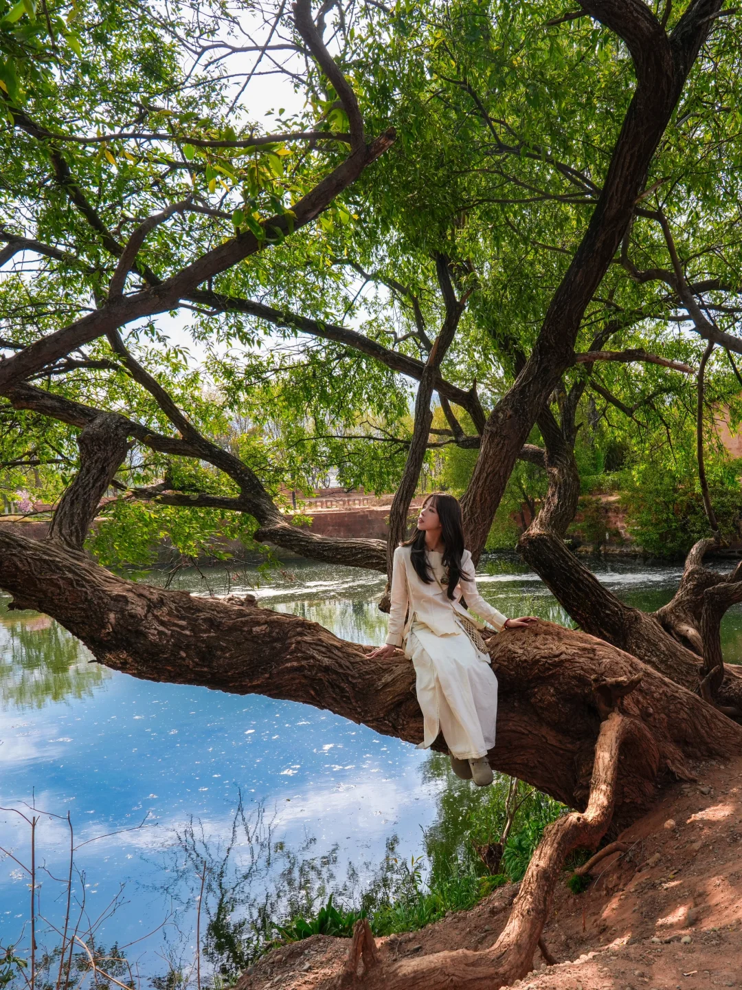 国内最喜欢的古镇，希望它永远不会变！