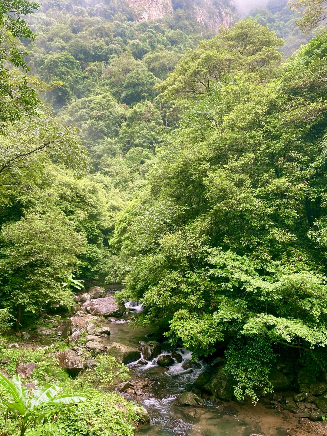 救命！在福建挖到天然玩水天堂！溪源大峡谷