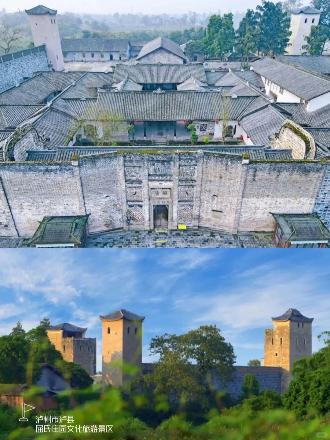 成都周边|2.5h直达小众丛林竹海🚣