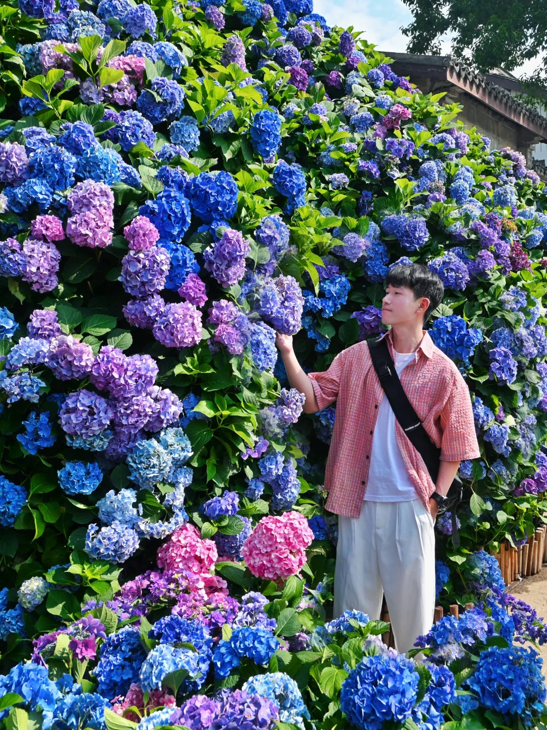 以为苏州很美了，直到我去了无锡‼️