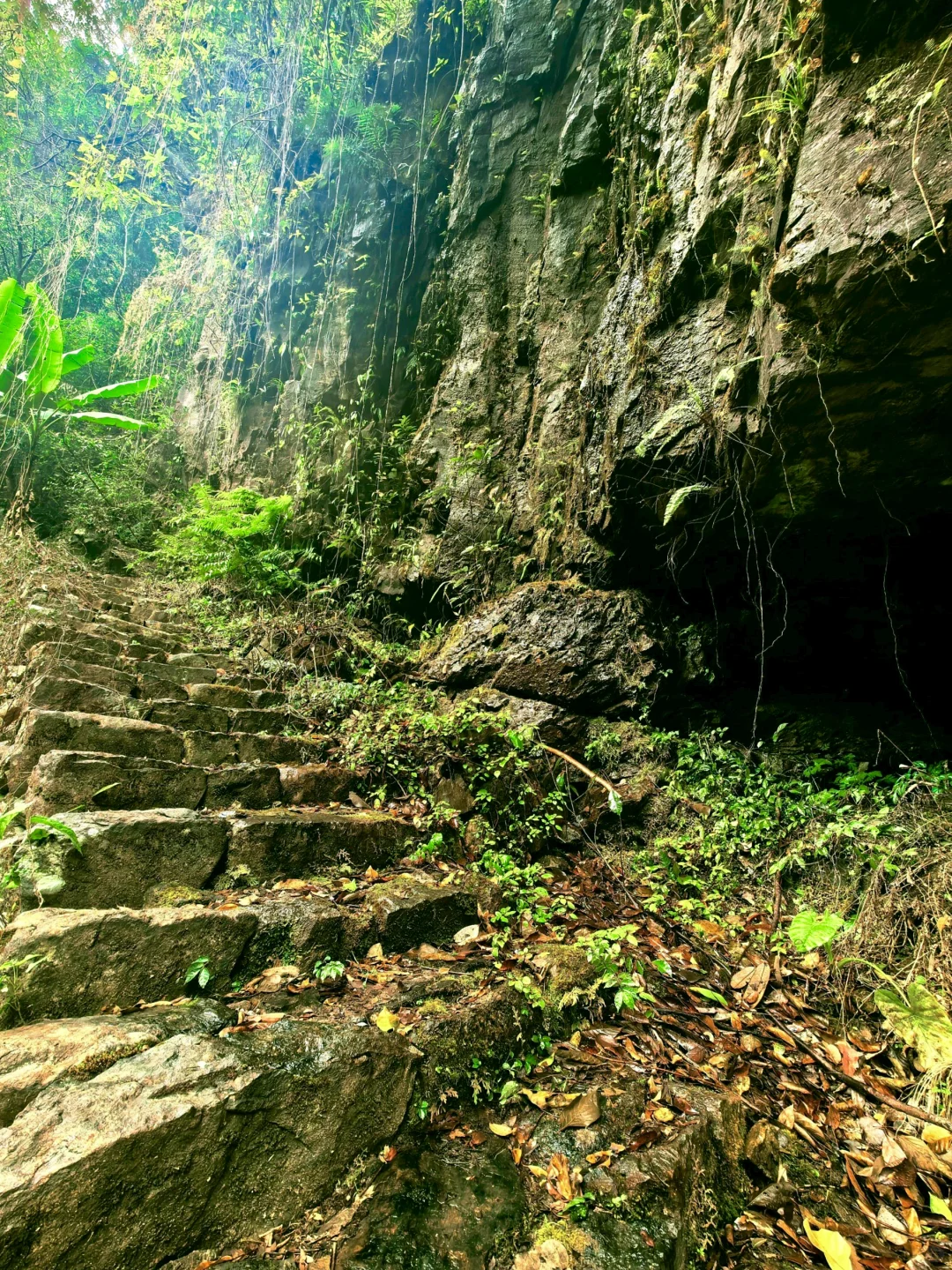 救命！在福建挖到天然玩水天堂！溪源大峡谷