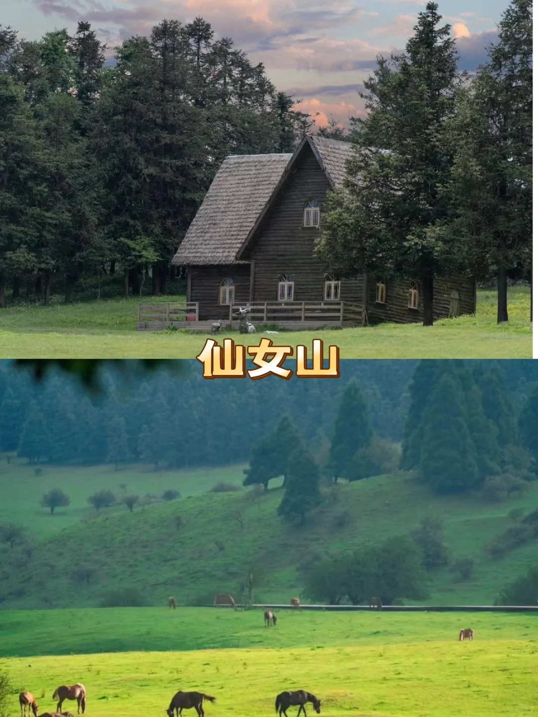 重庆靠谱导游😍四天三晚才花600+的旅行🧳