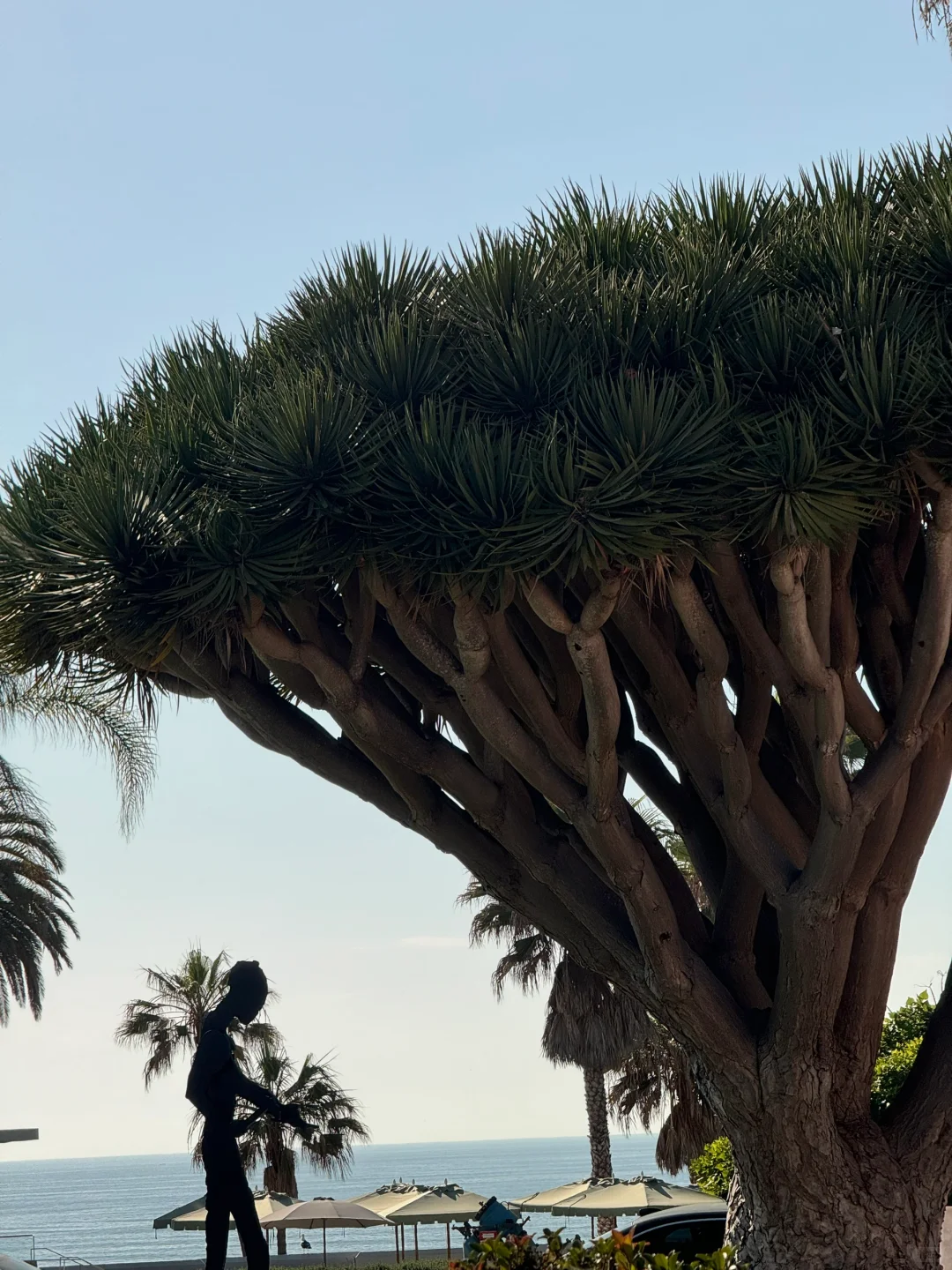 美国｜圣地亚哥La Jolla海边当代美术馆MCASD