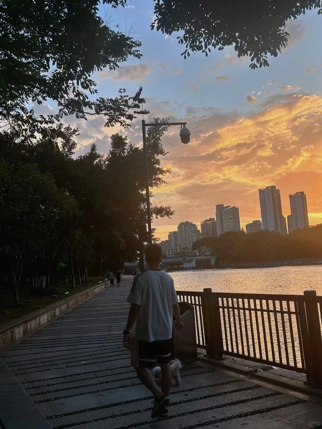 温州傍晚的天空在燃烧！温州城仿佛被点燃🔥