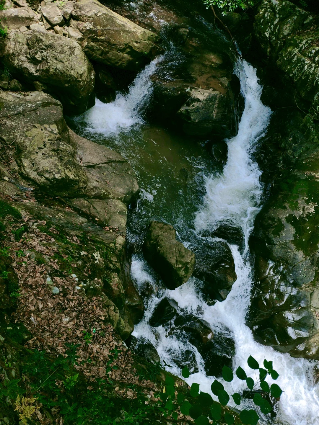 救命！在福建挖到天然玩水天堂！溪源大峡谷