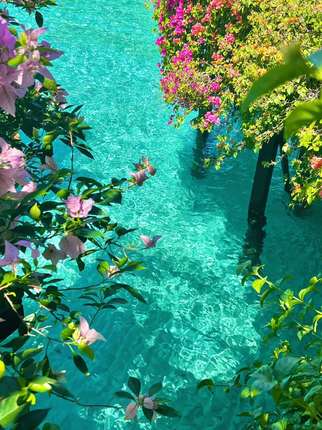 五一·把自己流放到世界的角落～