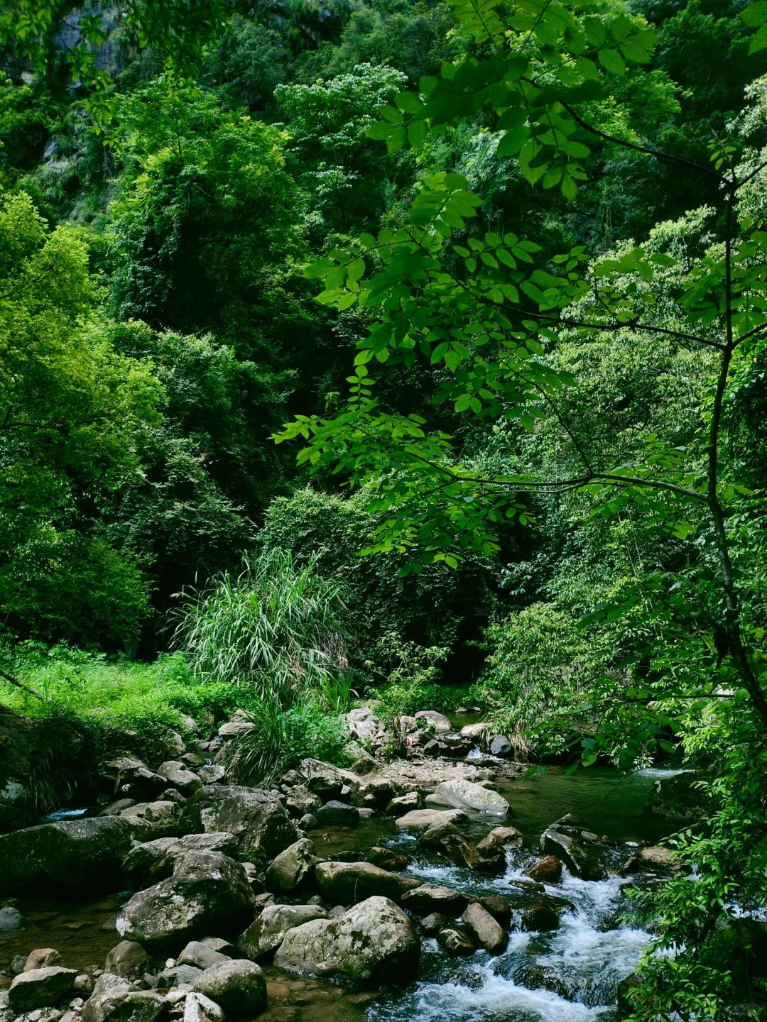 救命！在福建挖到天然玩水天堂！溪源大峡谷