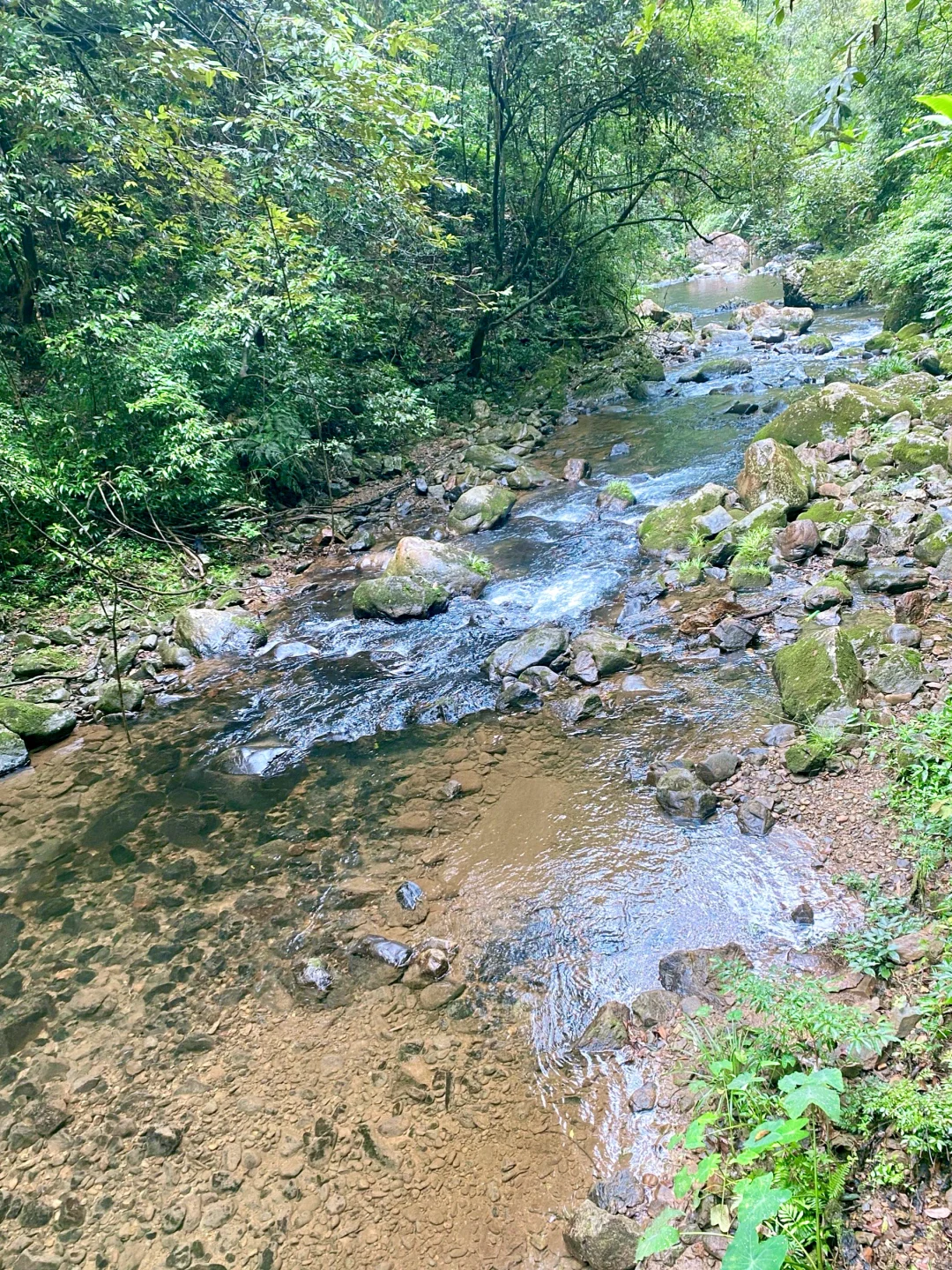 救命！在福建挖到天然玩水天堂！溪源大峡谷