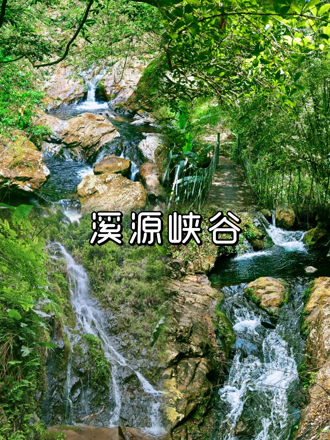 救命！在福建挖到天然玩水天堂！溪源大峡谷