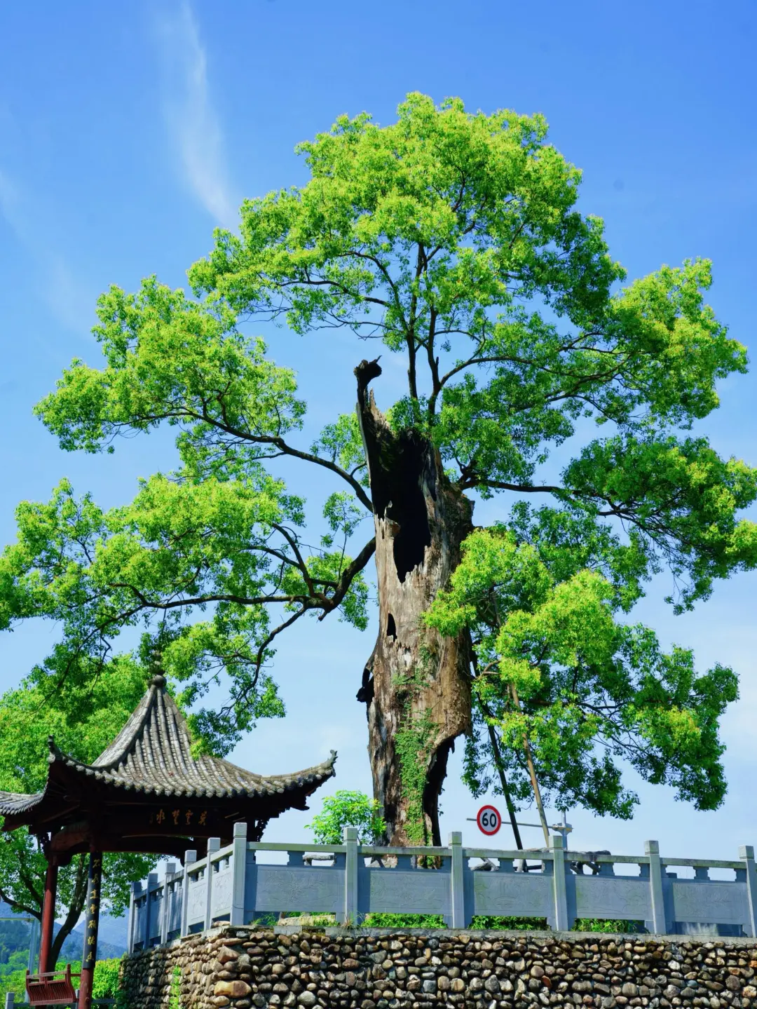 👆婺源8个免费古村｜很治愈😍