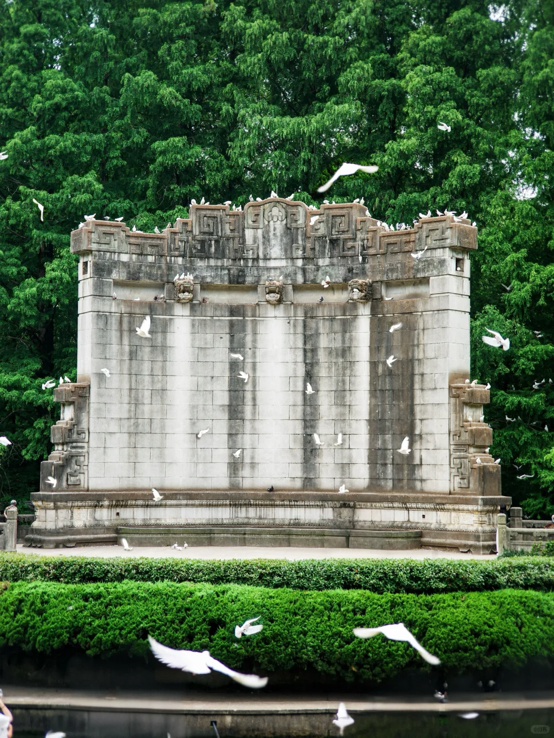 为了这18张照片……我特地飞了趟南京!(附机位