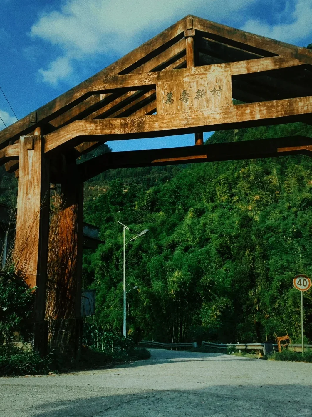 成都周边|2.5h直达小众丛林竹海🚣