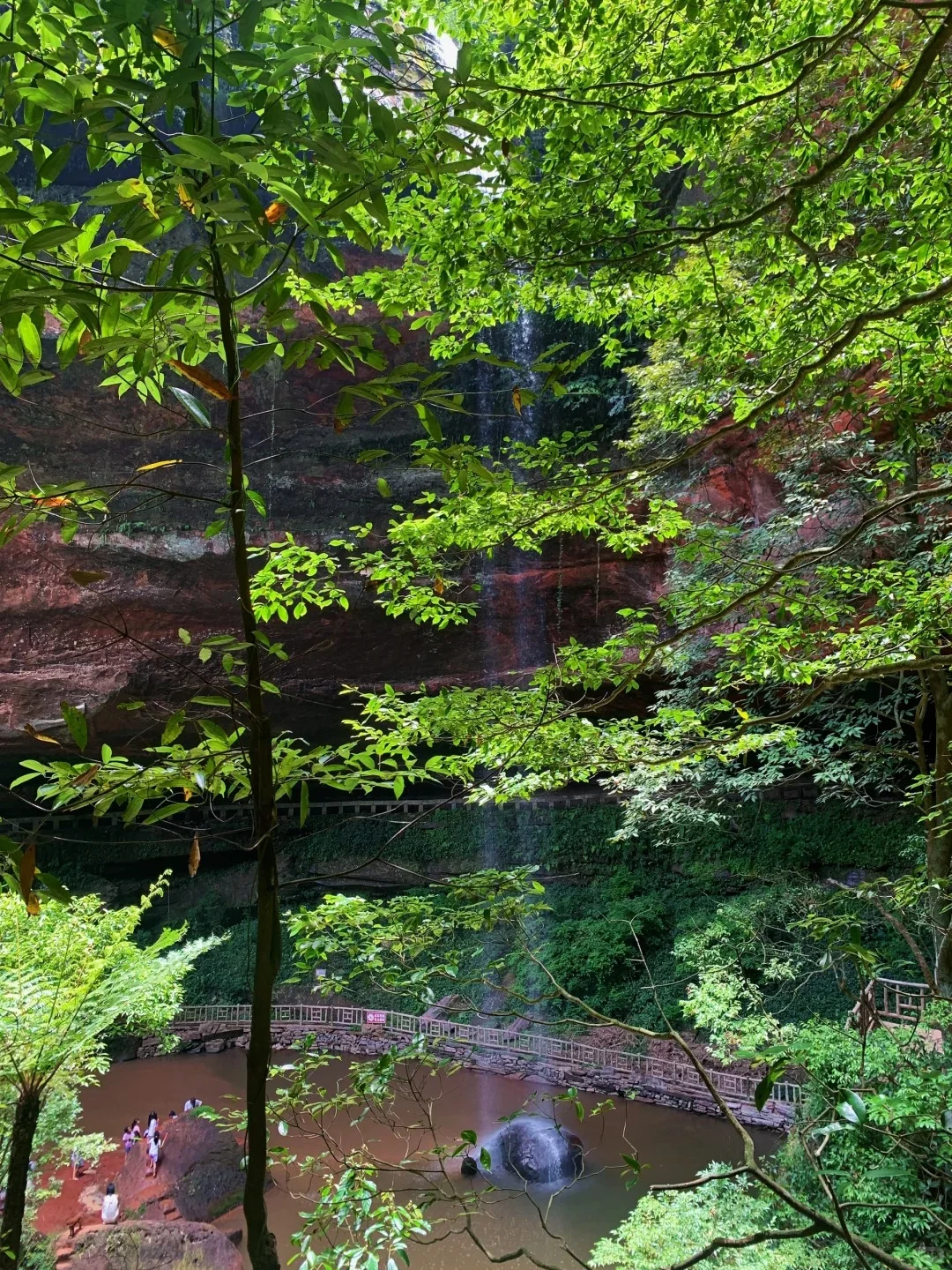 成都周边|2.5h直达小众丛林竹海🚣