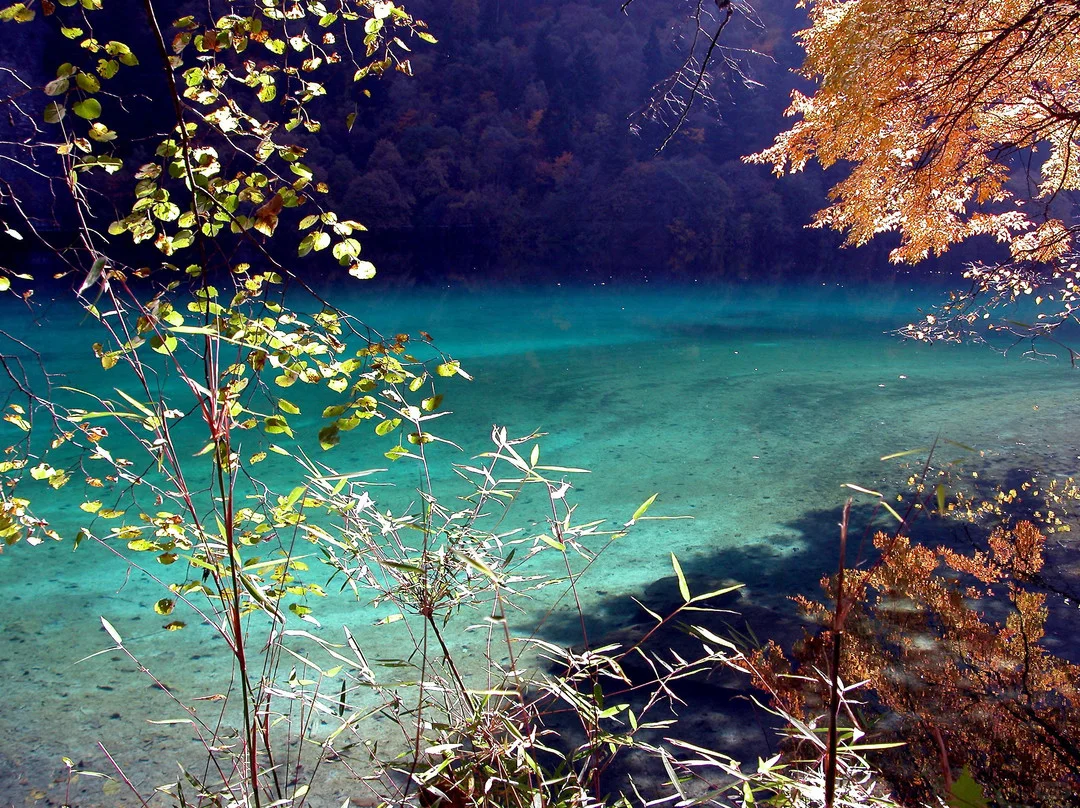 夏日清凉游,这9个宝藏地绝绝子!