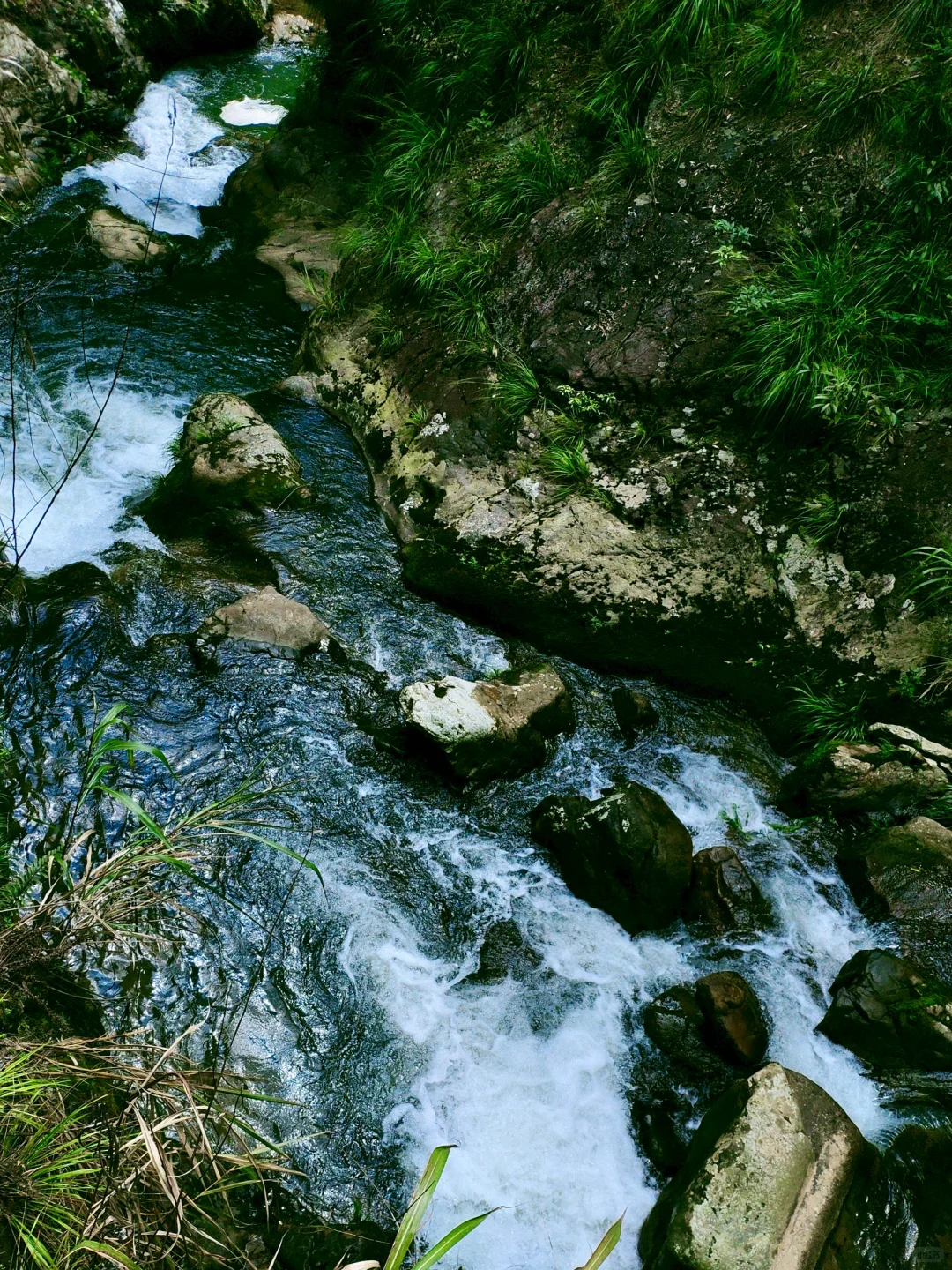 救命！在福建挖到天然玩水天堂！溪源大峡谷