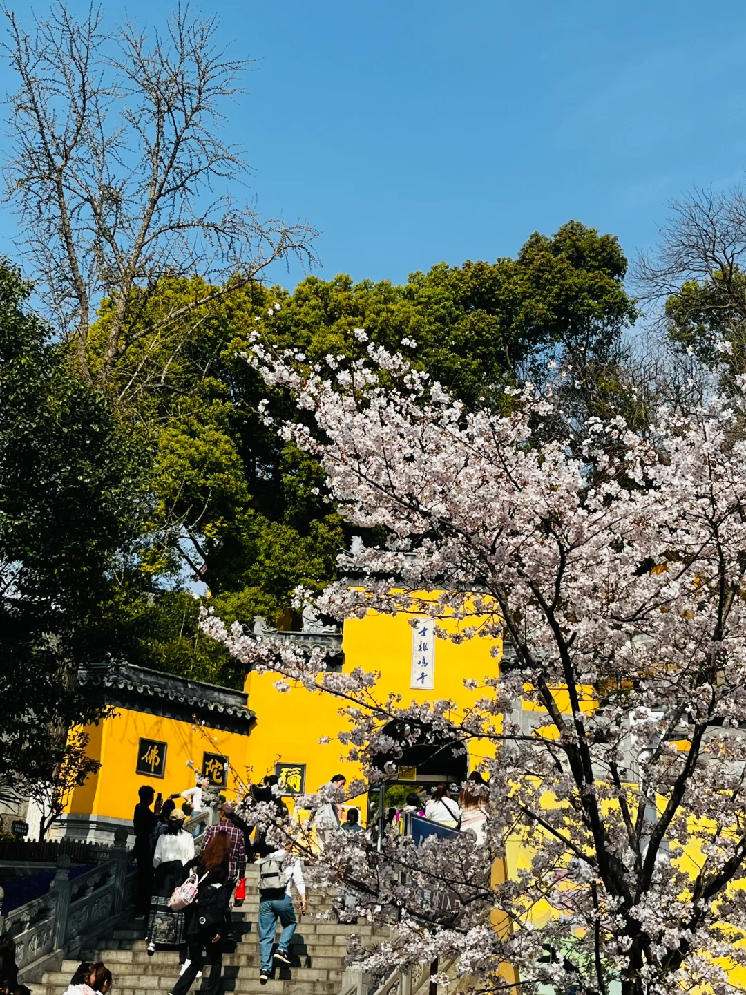 3.22｜南京2天1夜旅游-浅游攻略