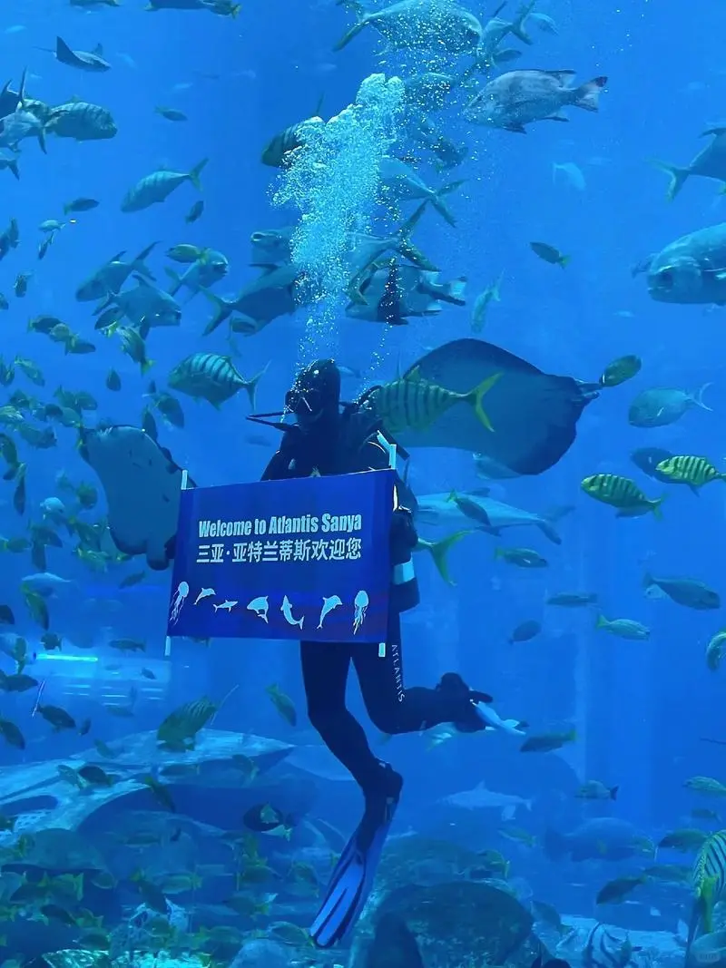 高端亲子游 3岁+适用