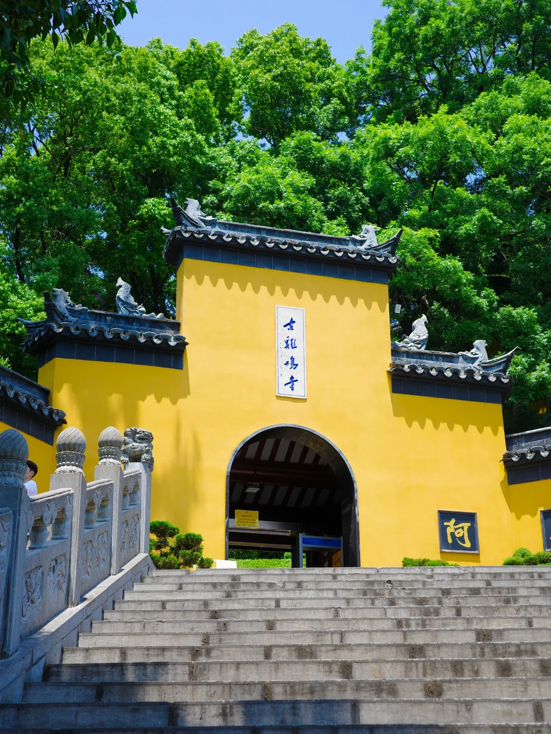 为了这18张照片……我特地飞了趟南京!(附机位