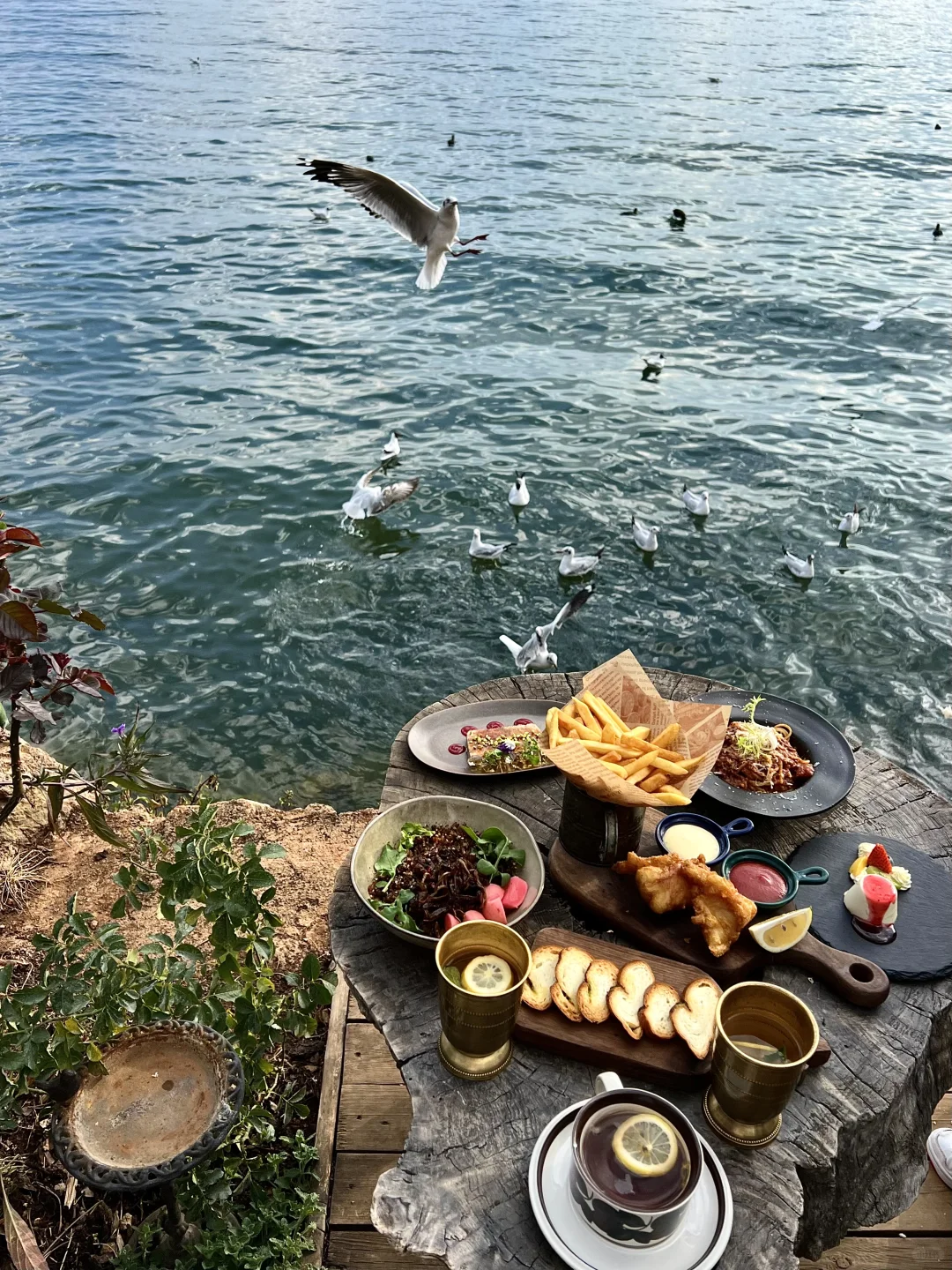 2024旅行结算｜收集了大理的四季（附机位）