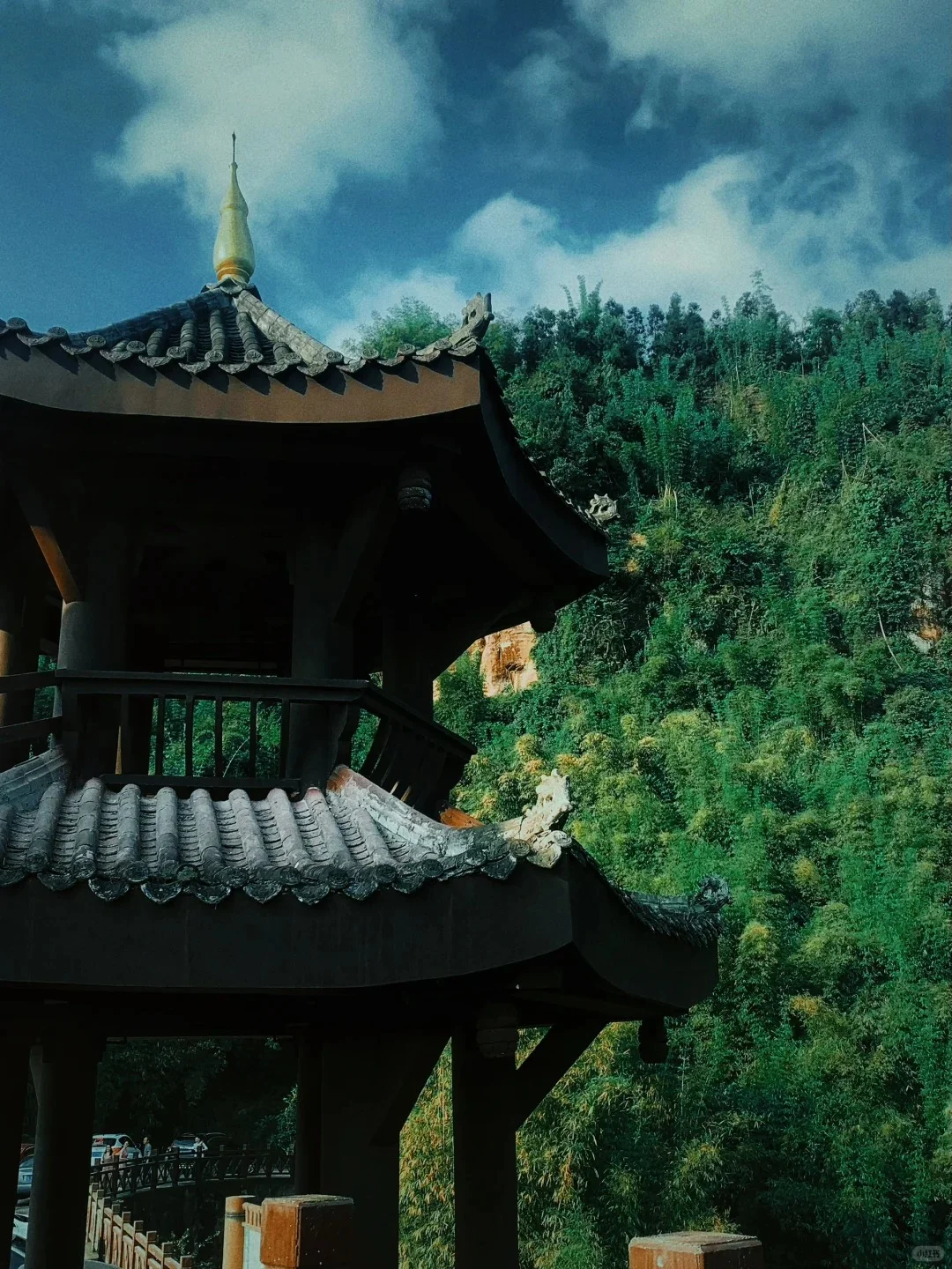 成都周边|2.5h直达小众丛林竹海🚣