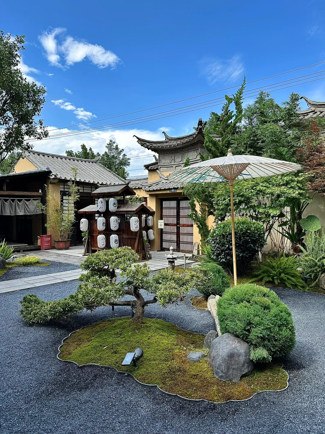 2024旅行结算｜收集了大理的四季（附机位）