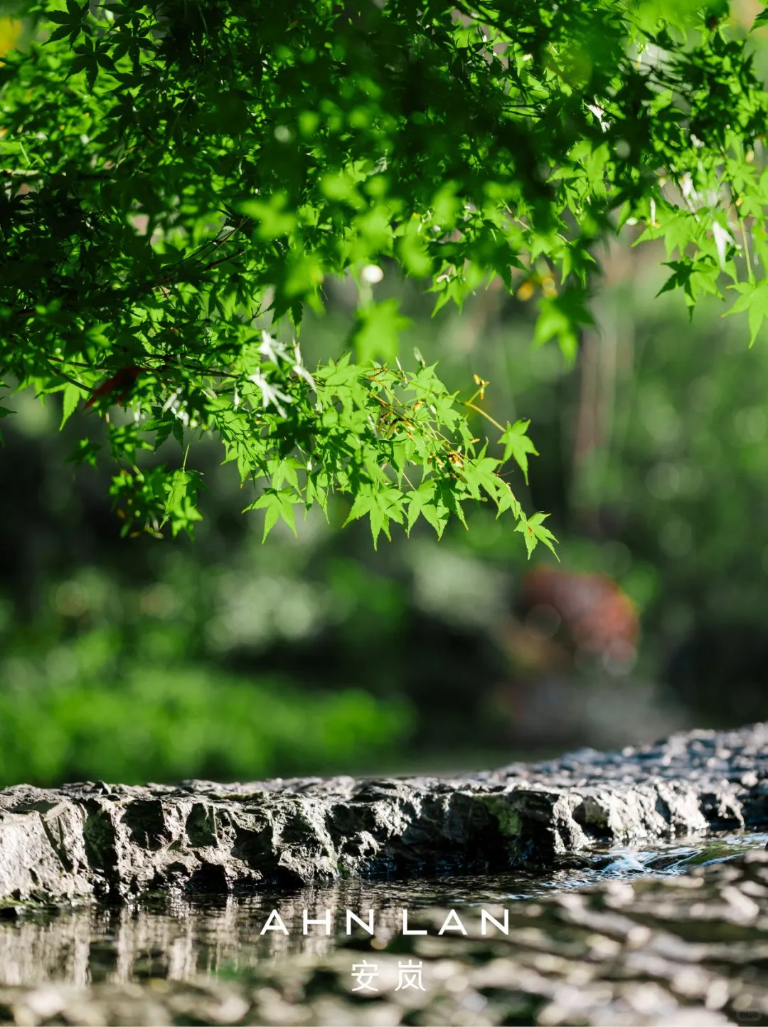 国内隐奢顶流❗️安岚AHN LAN来小红书了