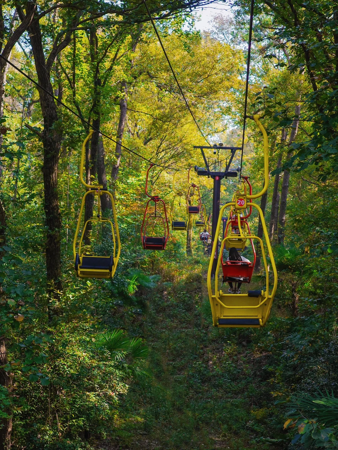 为了这18张照片……我特地飞了趟南京!(附机位