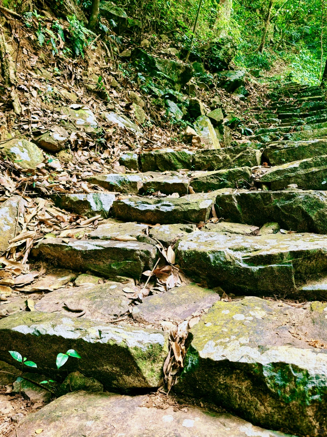 救命！在福建挖到天然玩水天堂！溪源大峡谷