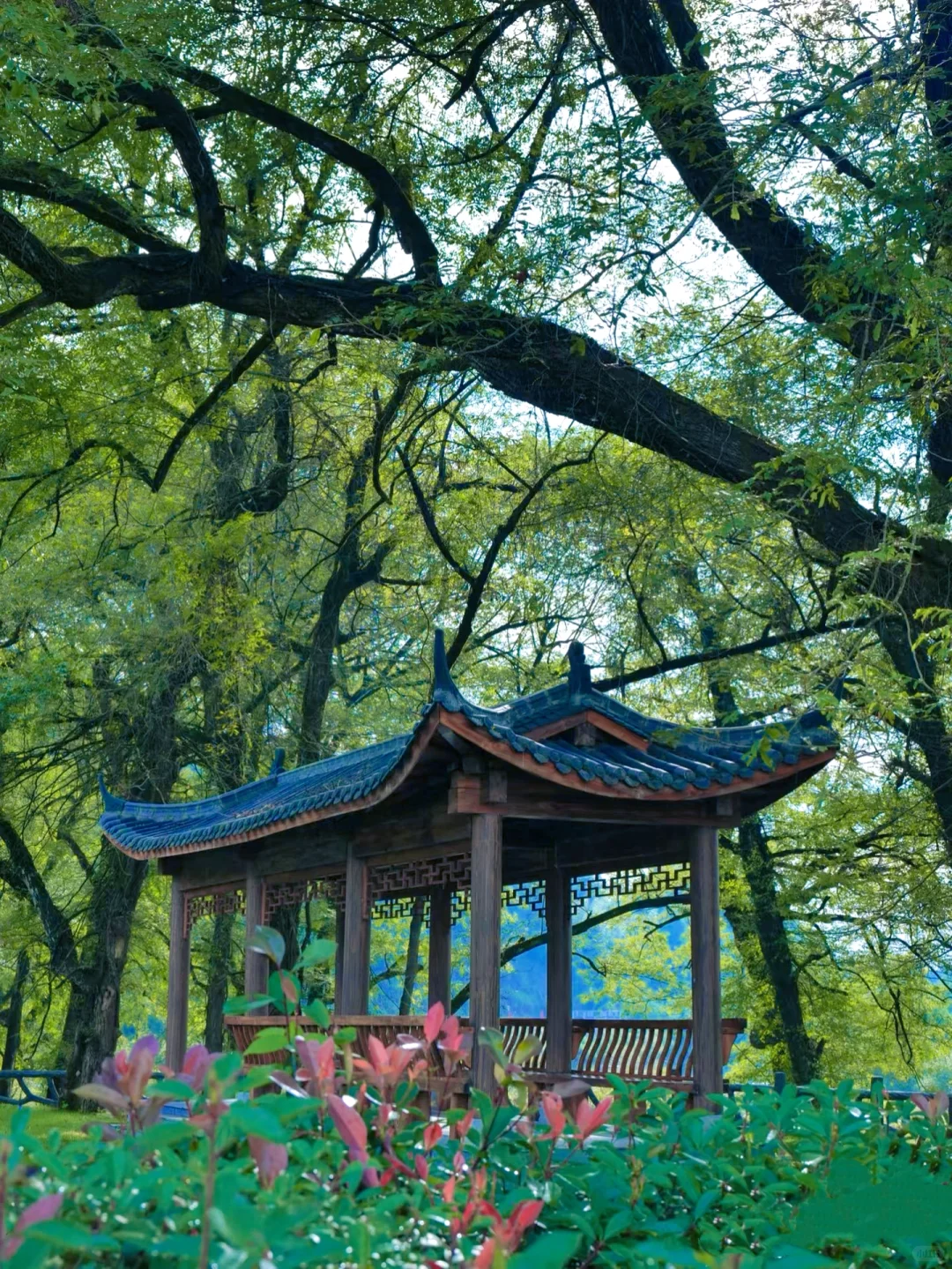 👆婺源8个免费古村｜很治愈😍