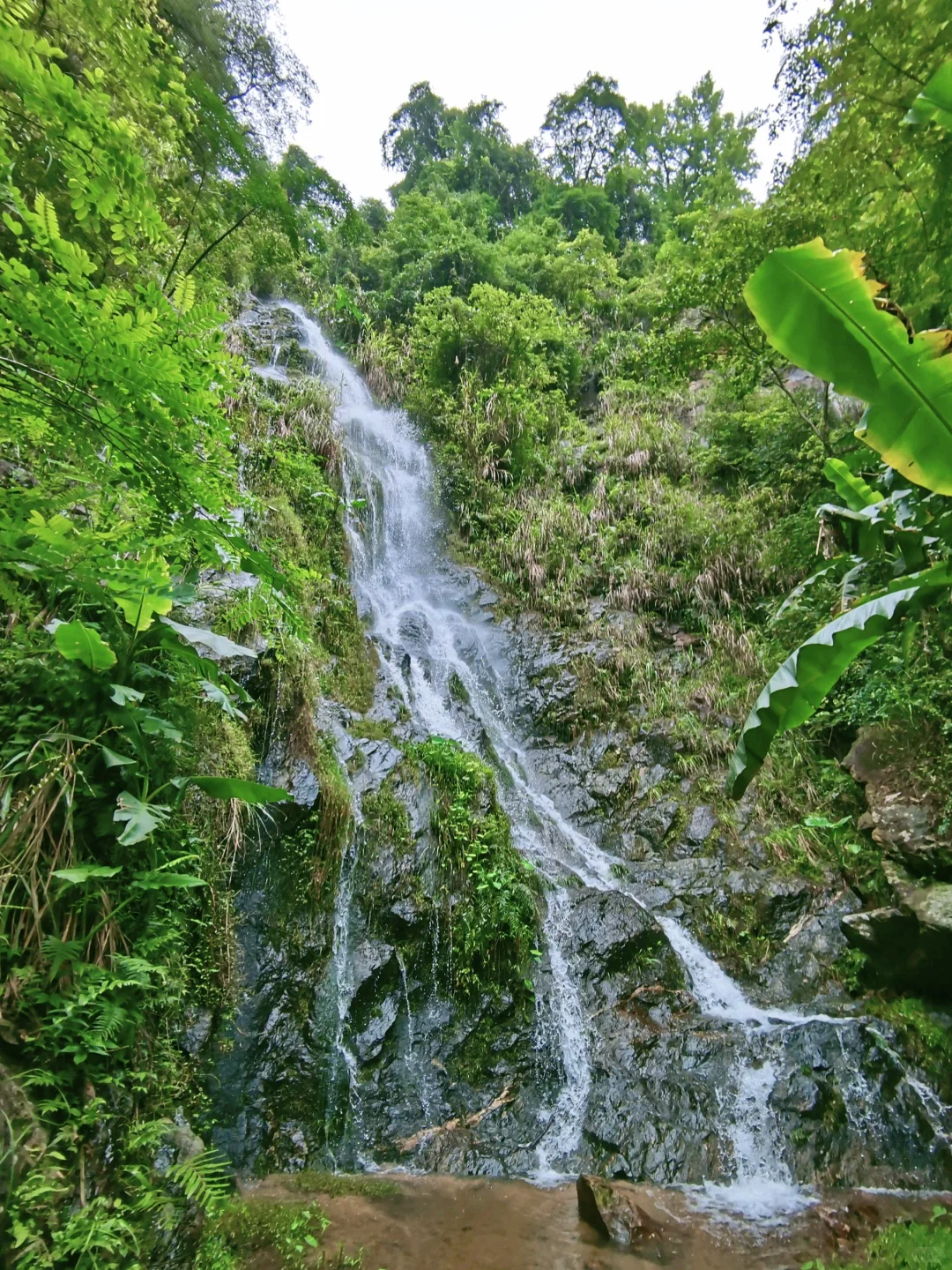 救命！在福建挖到天然玩水天堂！溪源大峡谷
