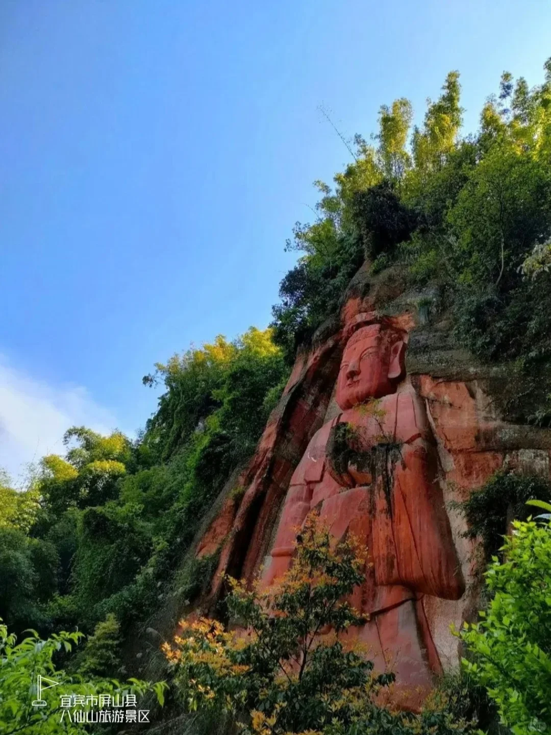 成都周边|2.5h直达小众丛林竹海🚣