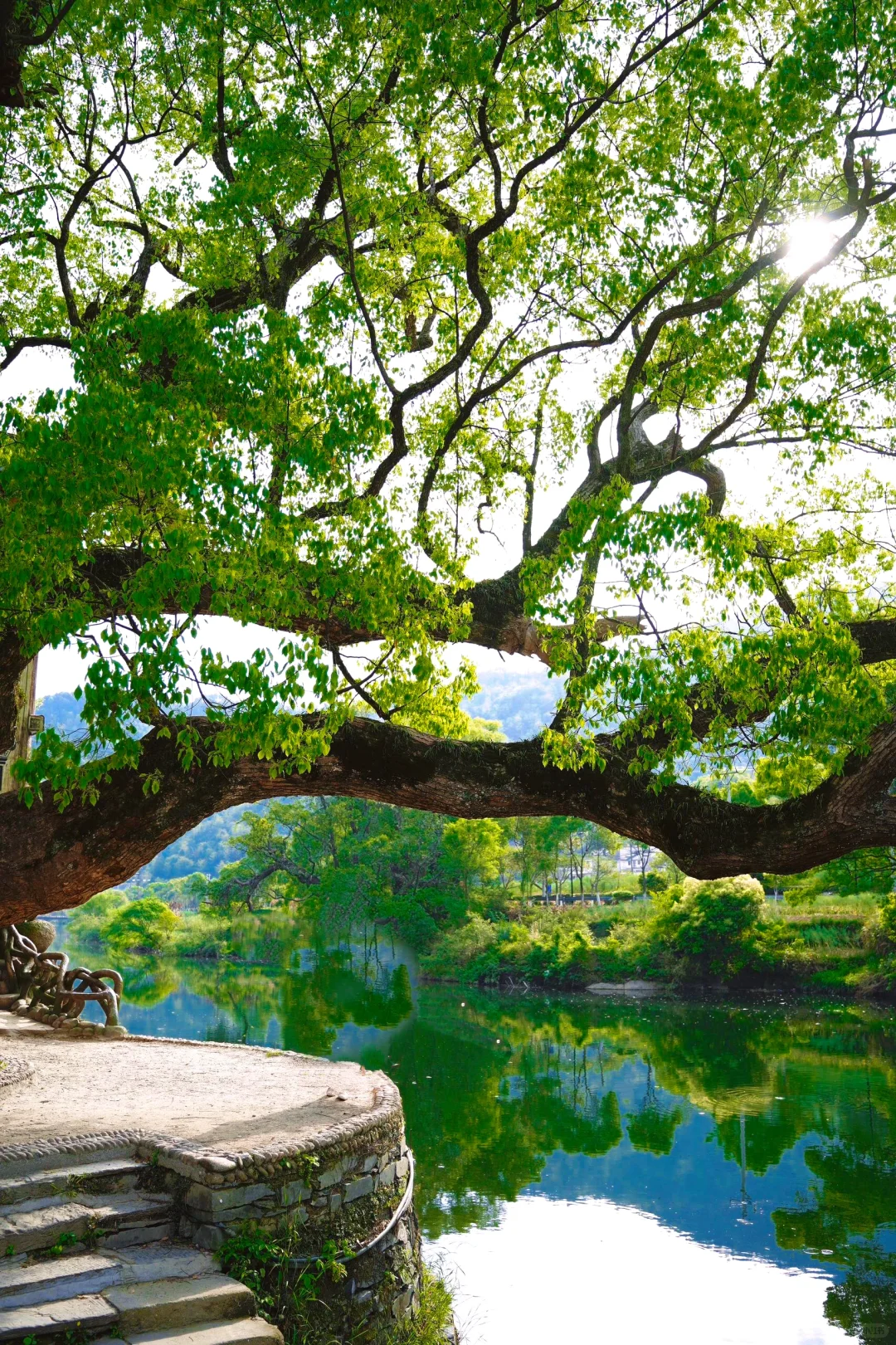 👆婺源8个免费古村｜很治愈😍