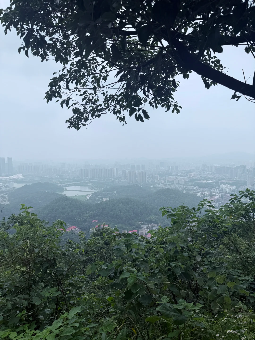 岳麓山真的可以不用登顶😮‍💨😮‍💨😮‍💨