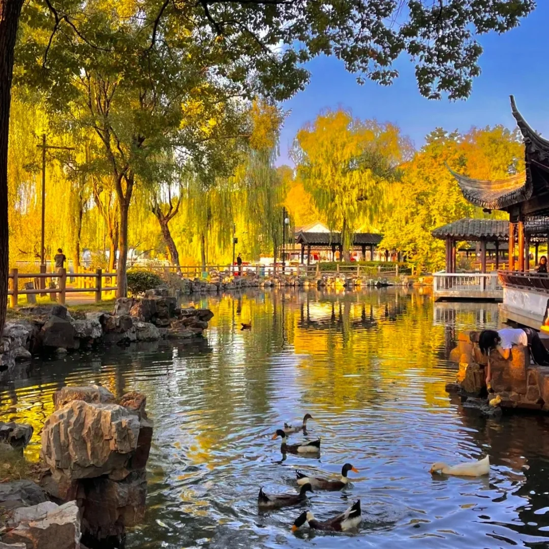 ✨ 6月苏州|烟雨江南的100种打开方式