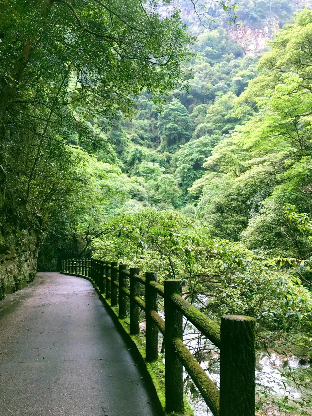 救命！在福建挖到天然玩水天堂！溪源大峡谷