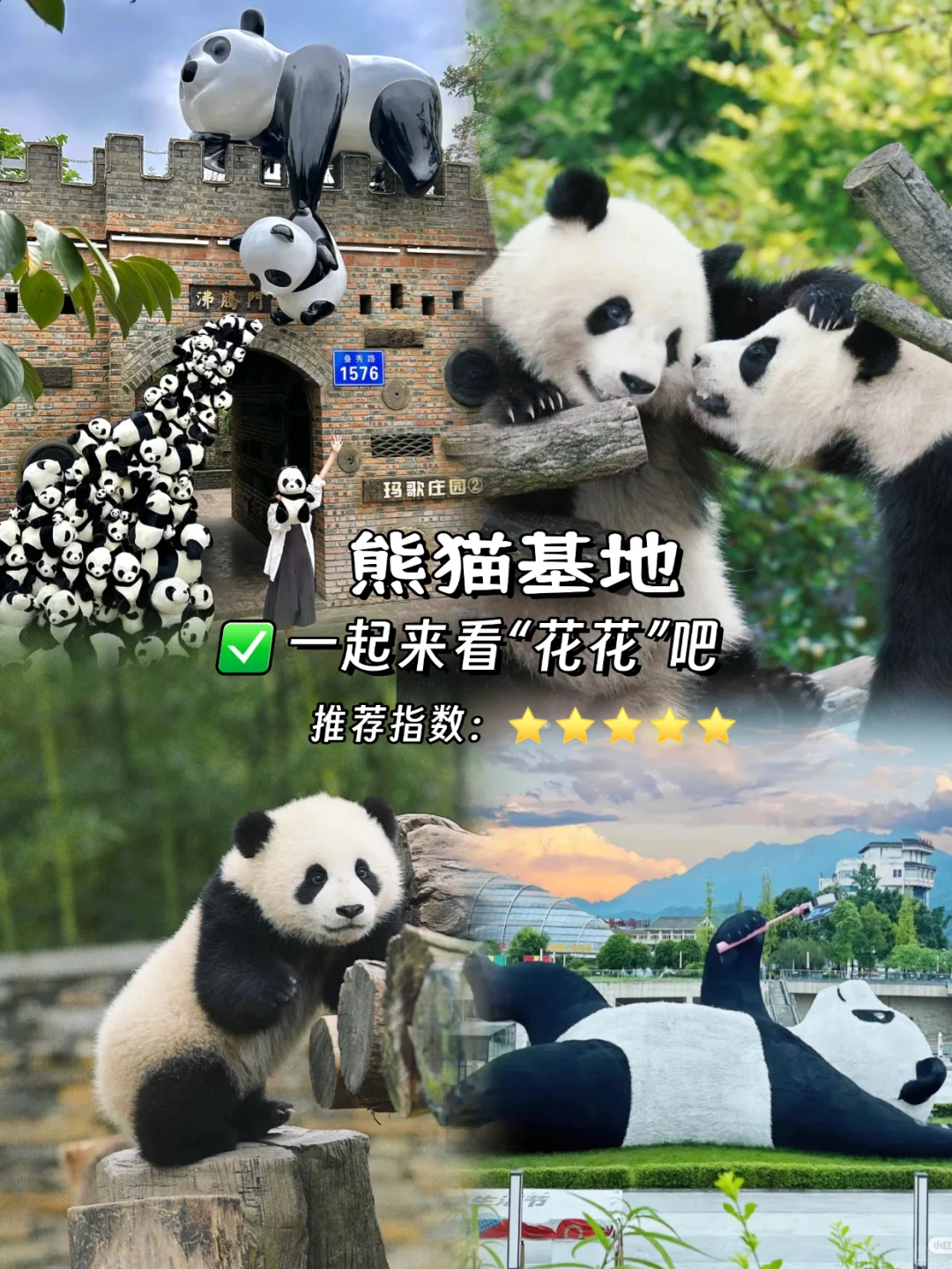 🔥去四川必玩9大景点攻略来啦!