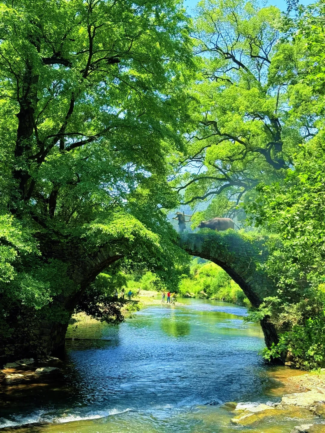 👆婺源8个免费古村｜很治愈😍