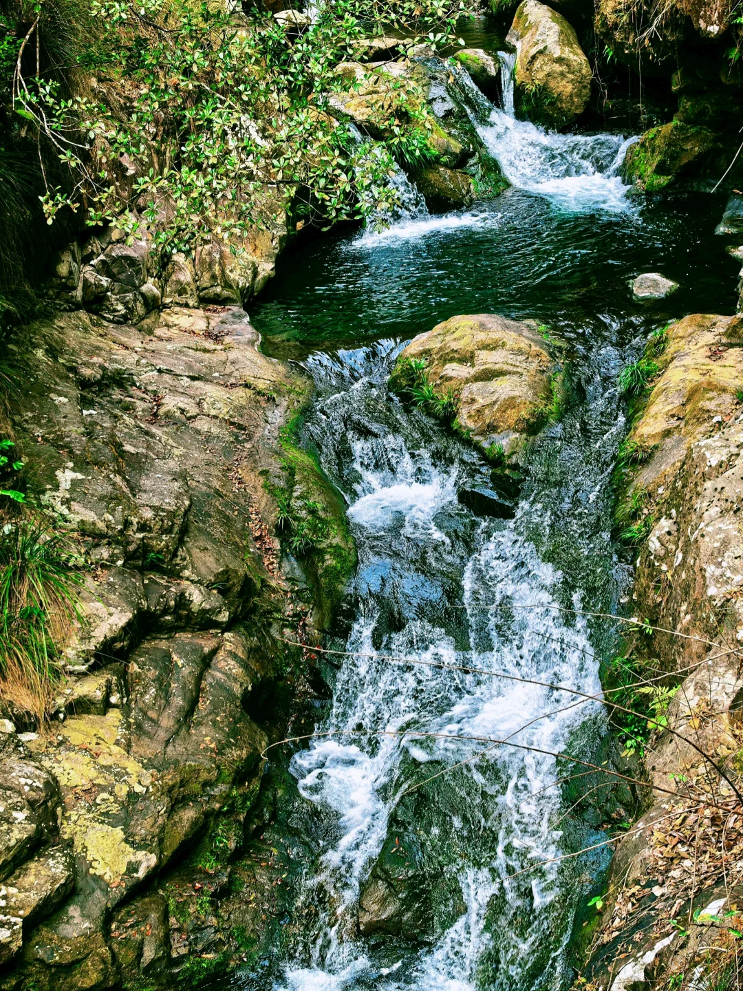 救命！在福建挖到天然玩水天堂！溪源大峡谷