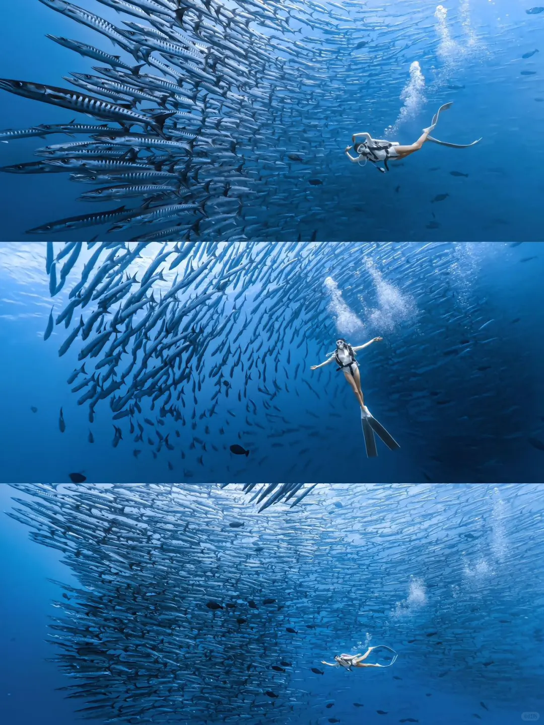 五一·把自己流放到世界的角落～