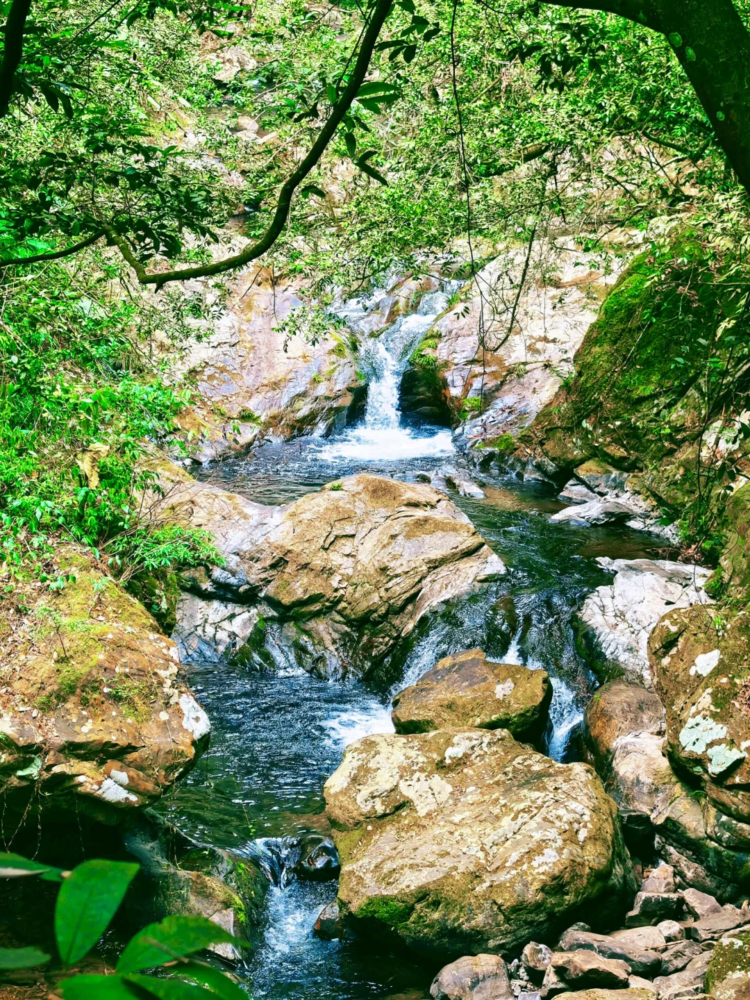 救命！在福建挖到天然玩水天堂！溪源大峡谷