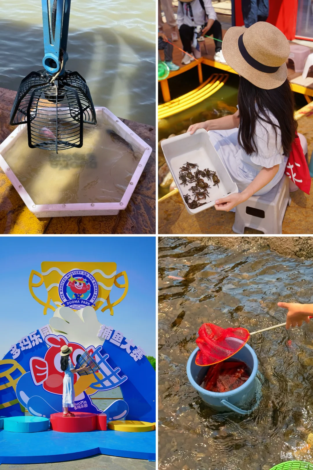 挑战每周逃离北京去旅行🦋第44站：多玛