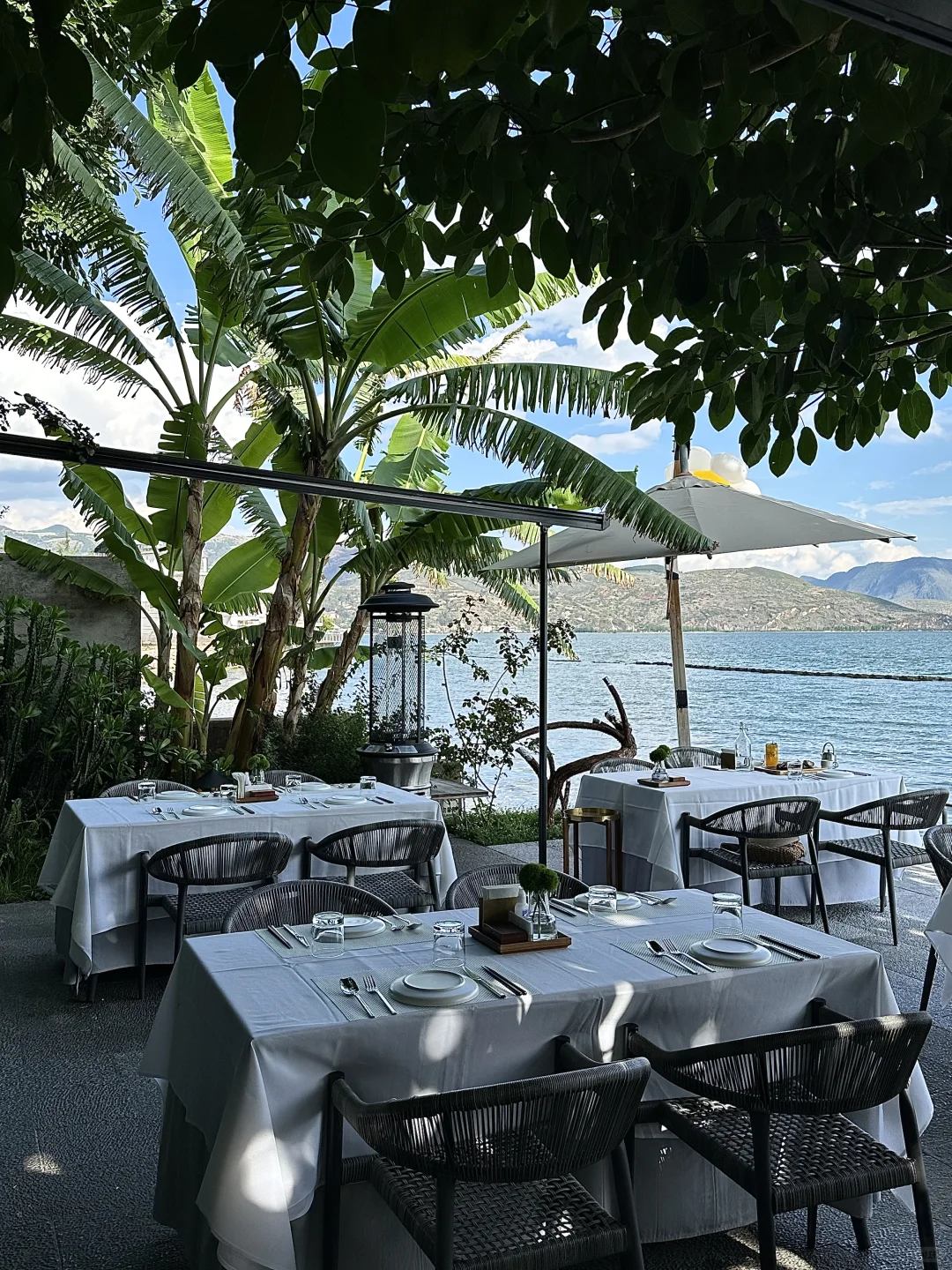 2024旅行结算｜收集了大理的四季（附机位）